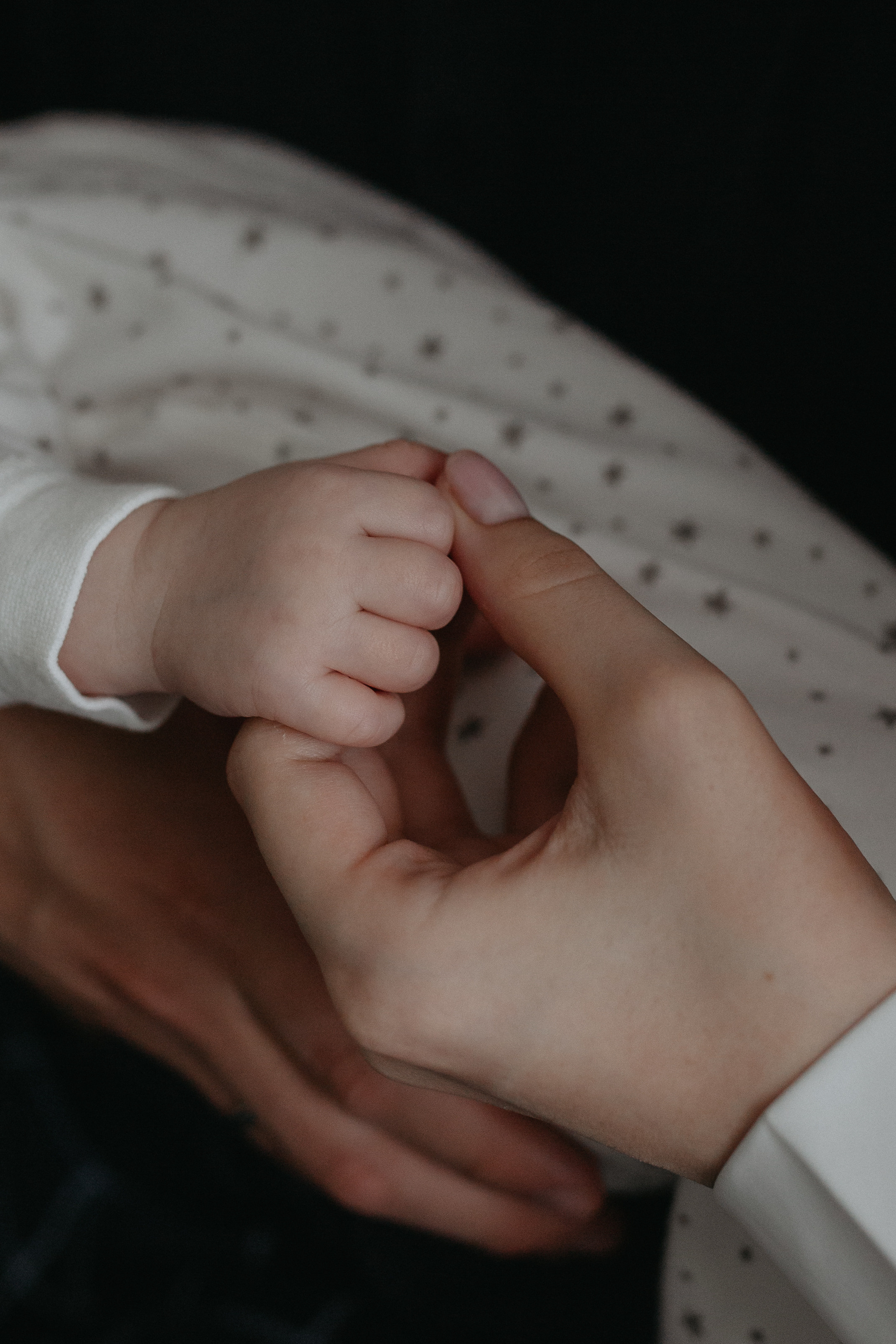 Алина, Никита и Родион. Главная