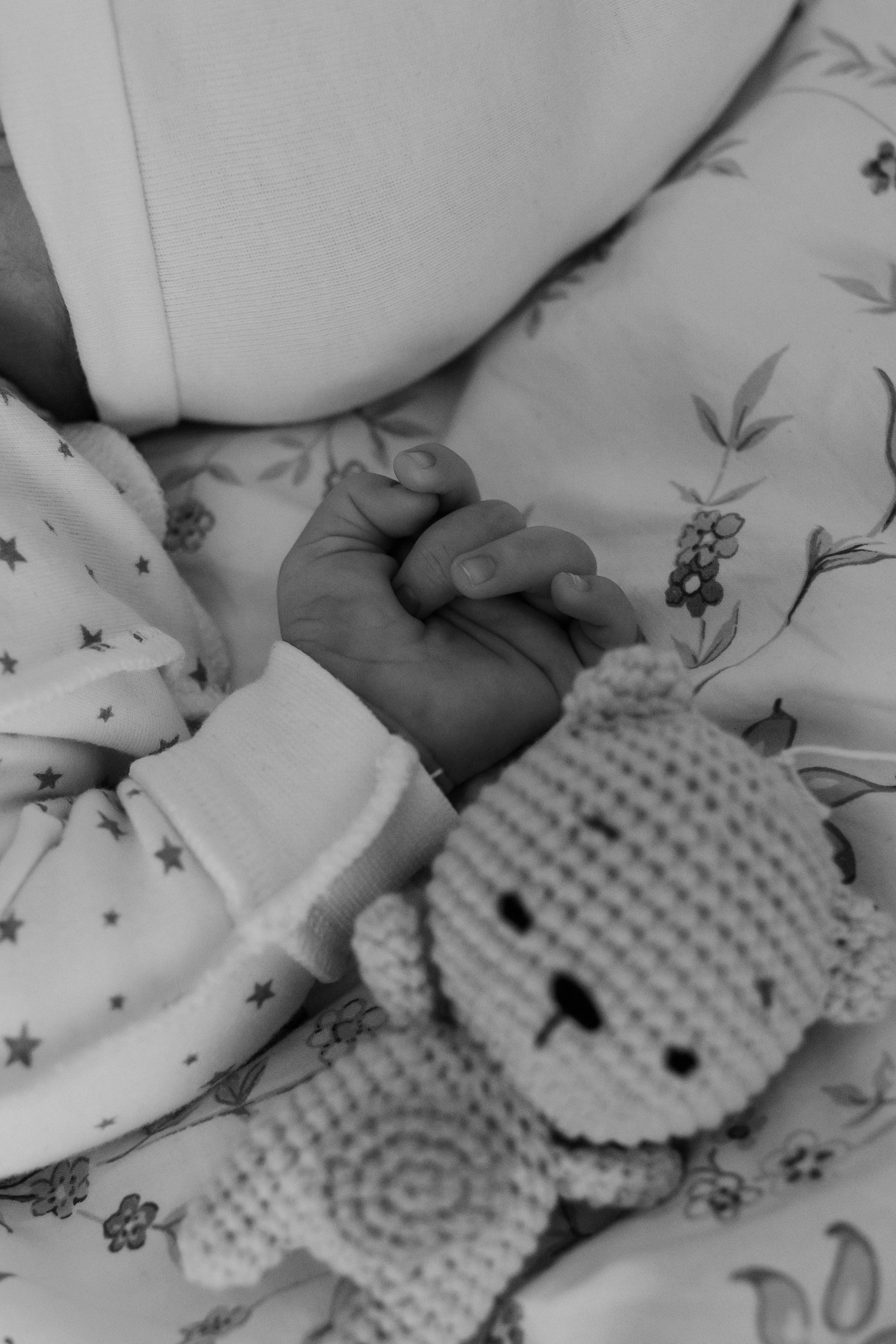 Алина, Никита и Родион. Главная