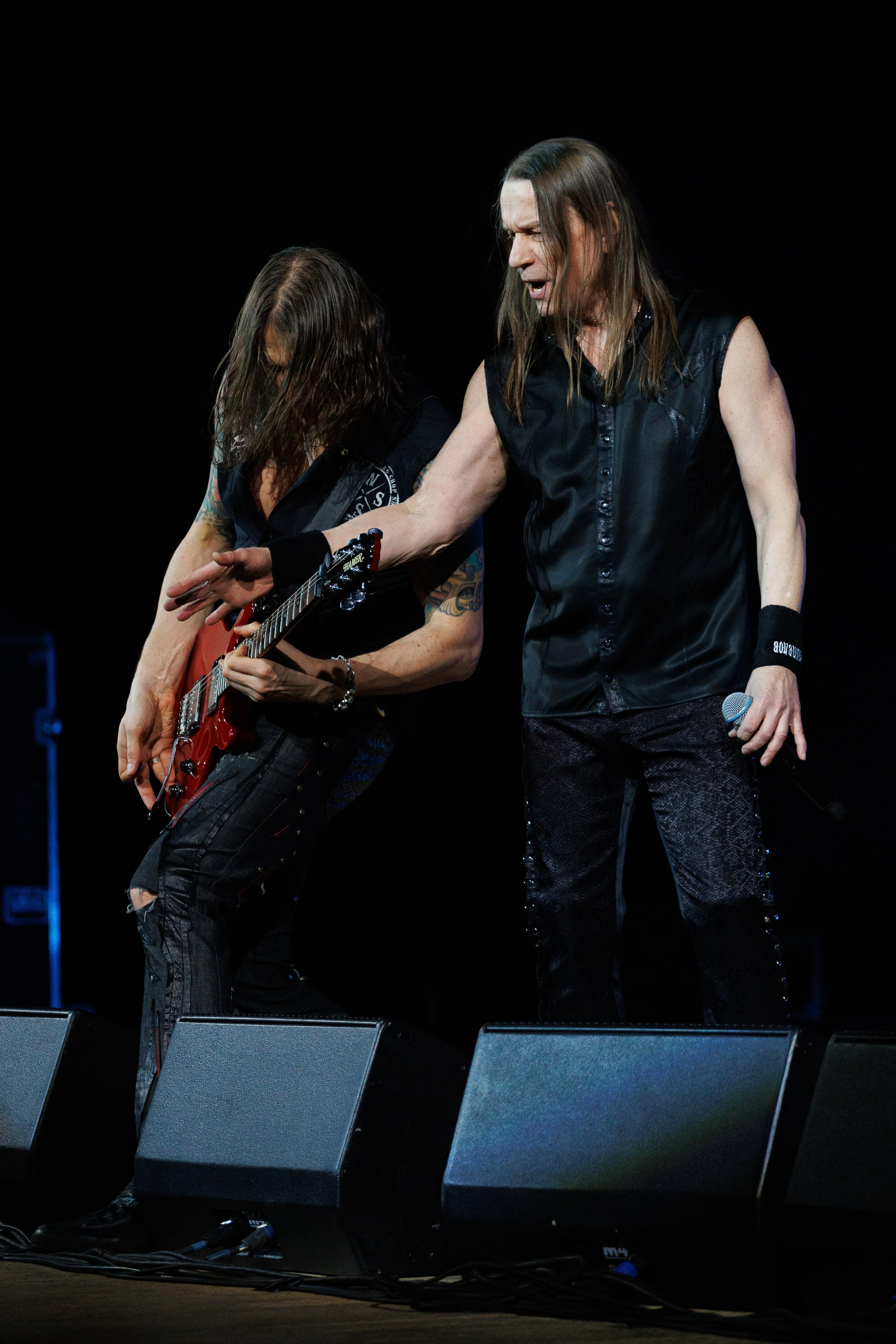 «КИПЕЛОВ». Photomantis