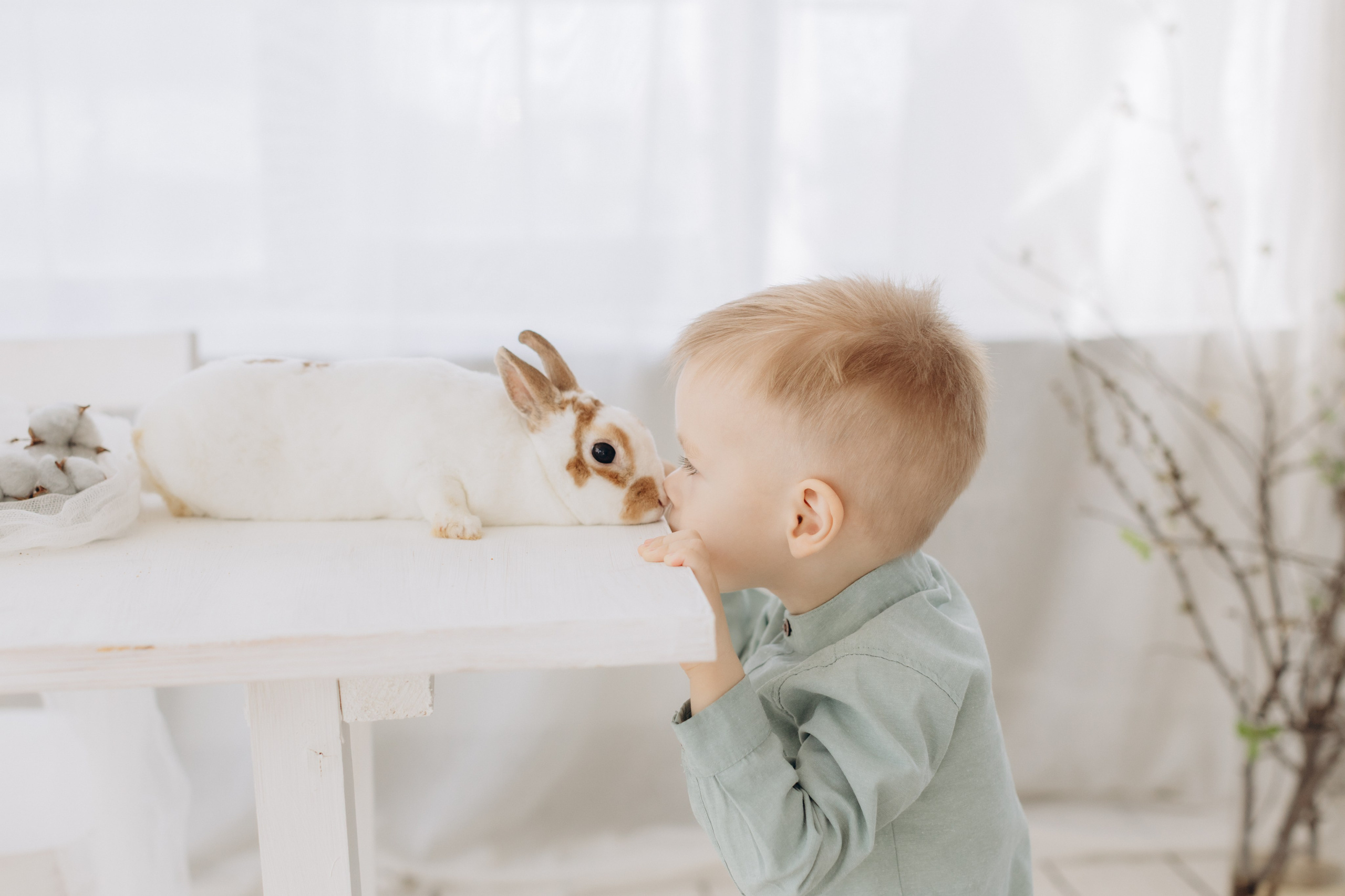 Илюша. Пасхальная съёмка. Семейный и детский Фотограф Ирина Фенина Саратов