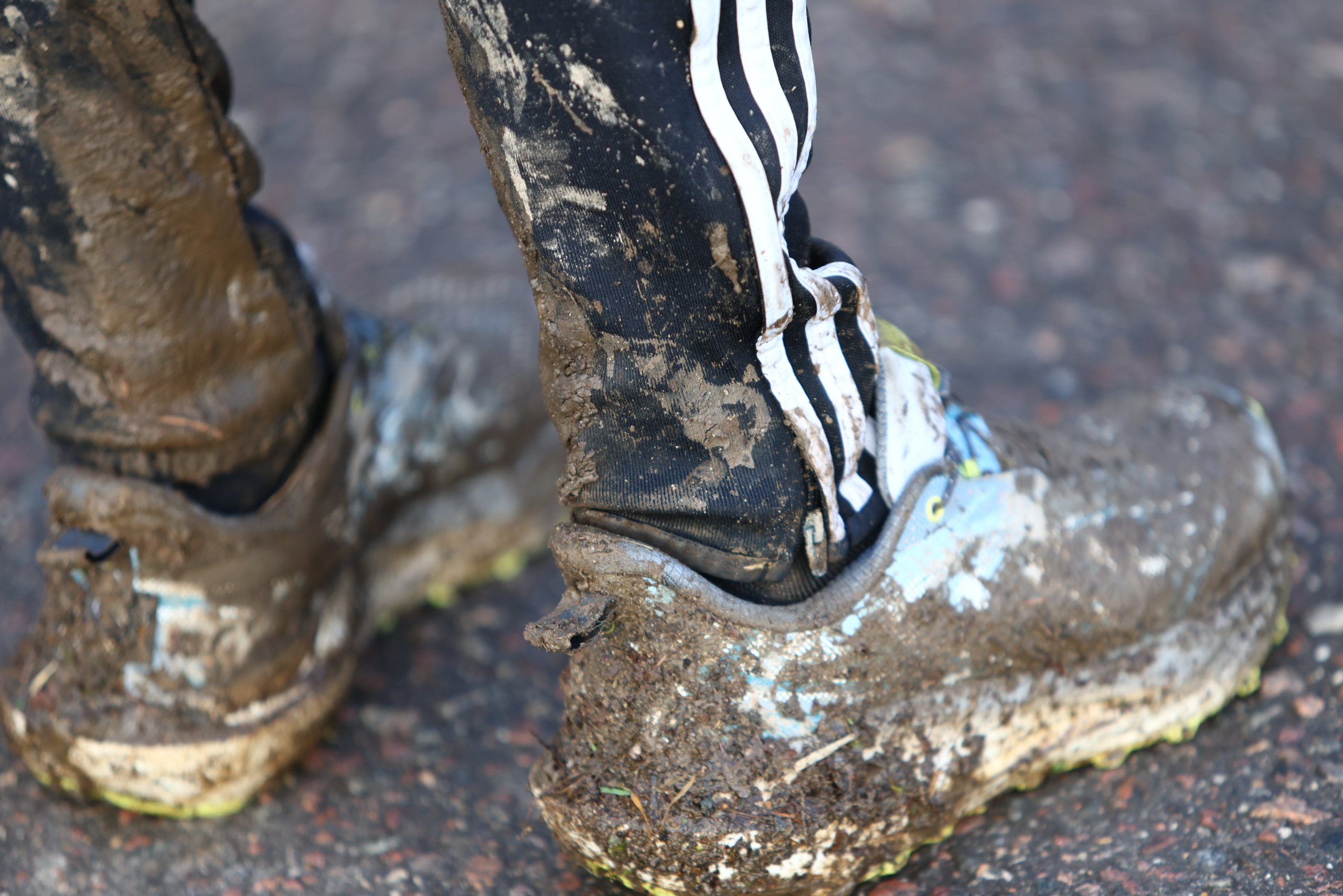 Два лепестка Химкинского марафона у дома, 23.11.25. Фотограф Сергей Ловкий