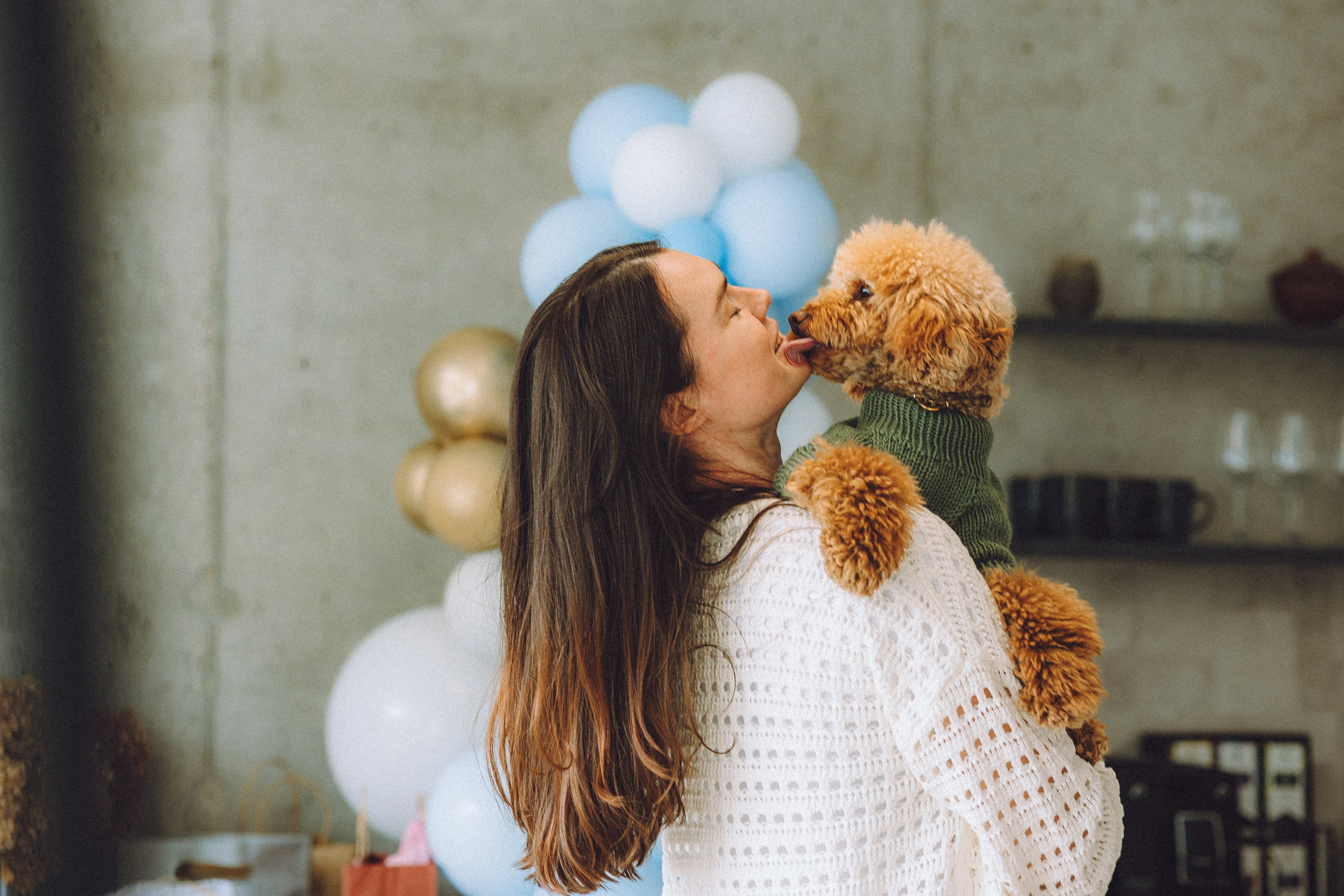 День Рождения пуделя Глаши