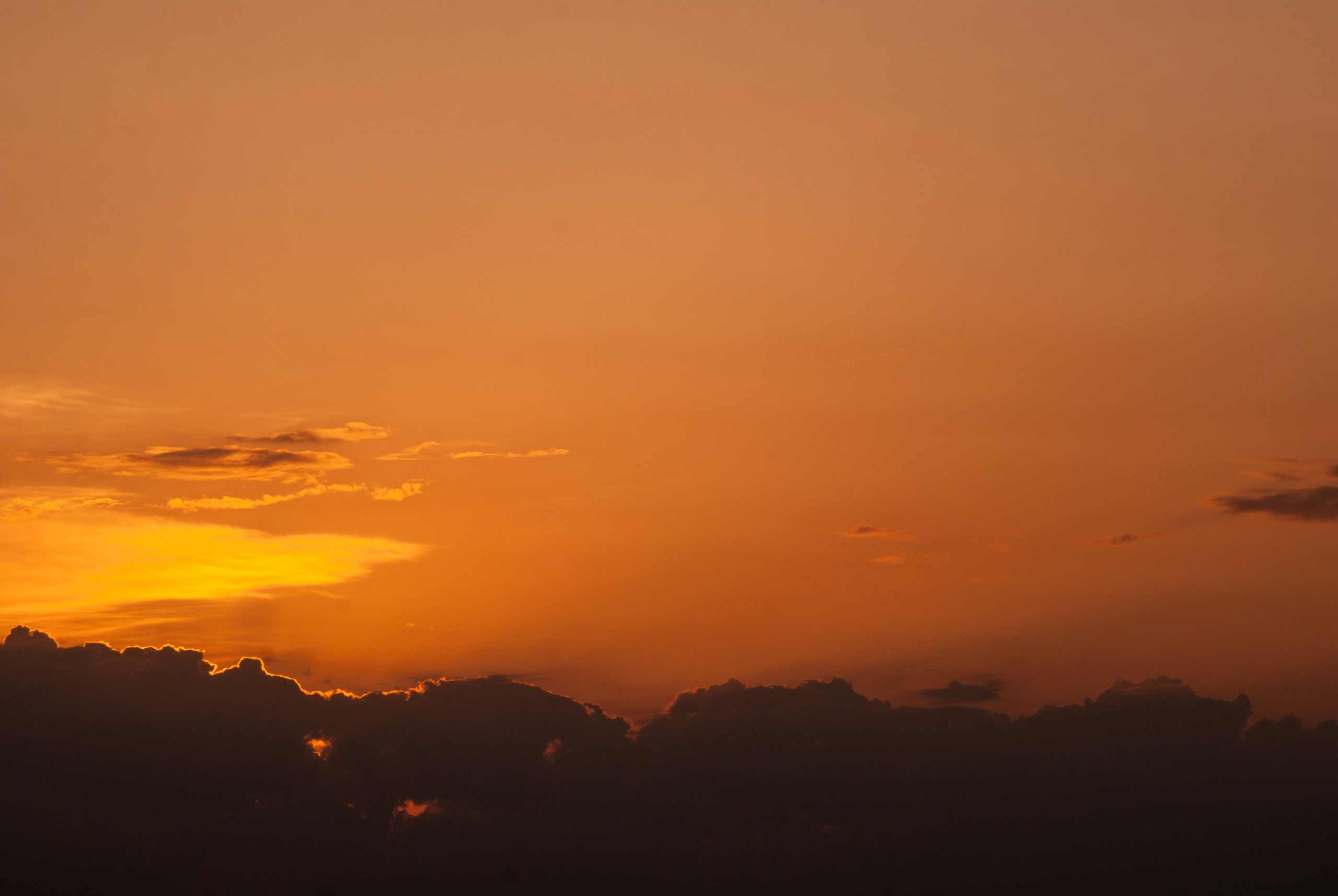 Этот прекрасный мир