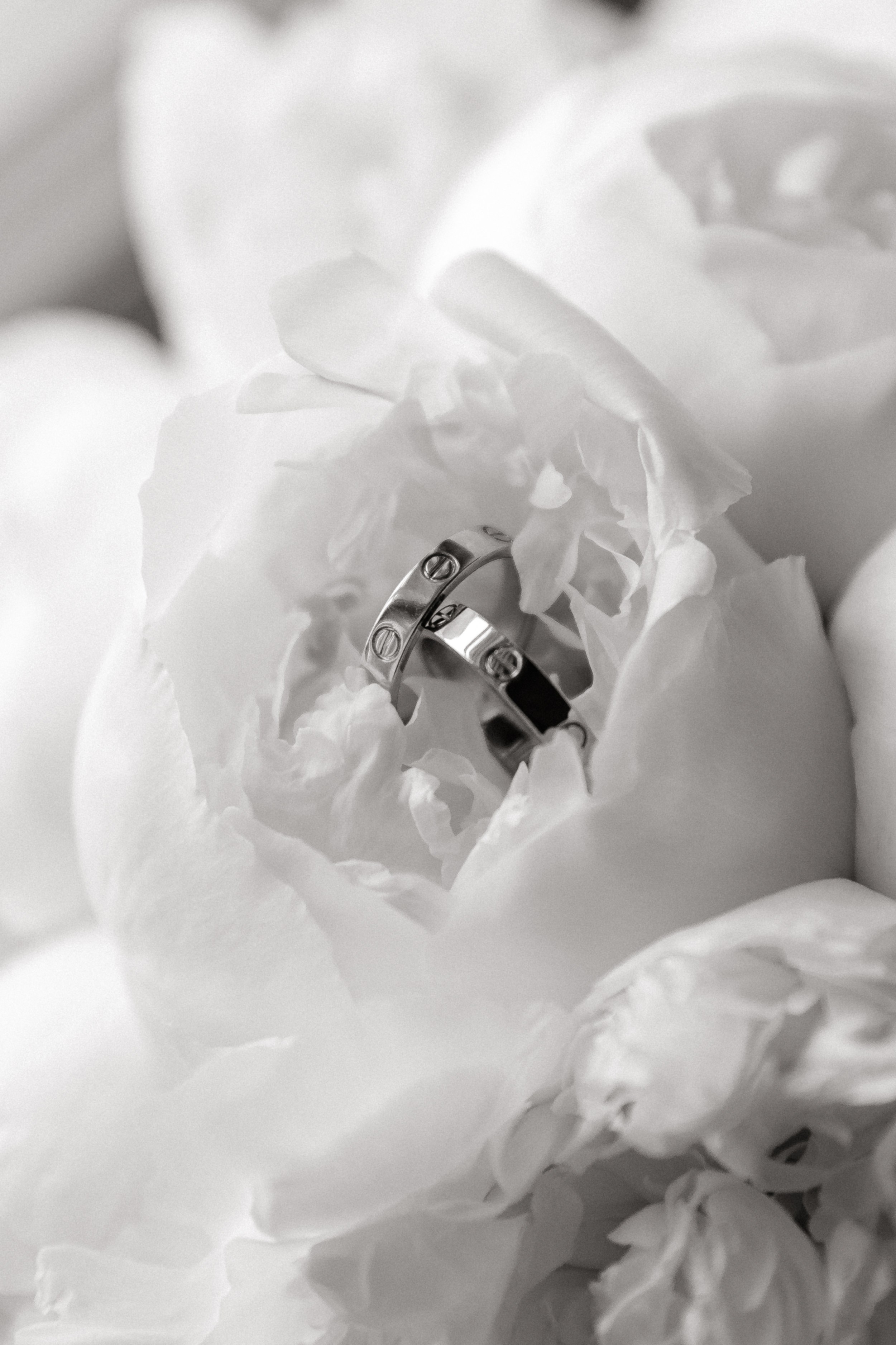 Элеанора и Сергей. Свадебный фотограф Фадеева Алёна