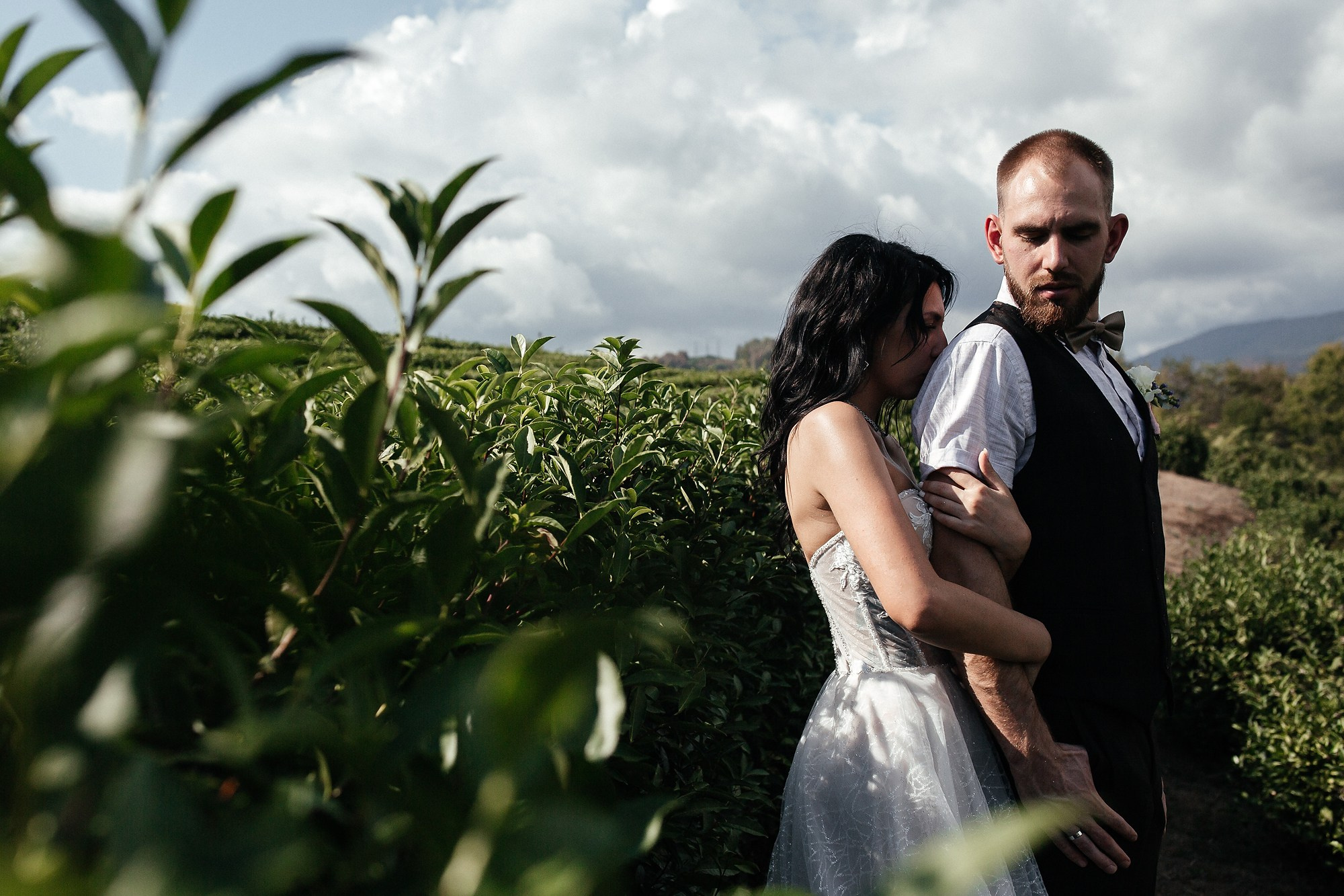 свадебный фотограф на чайных плантациях