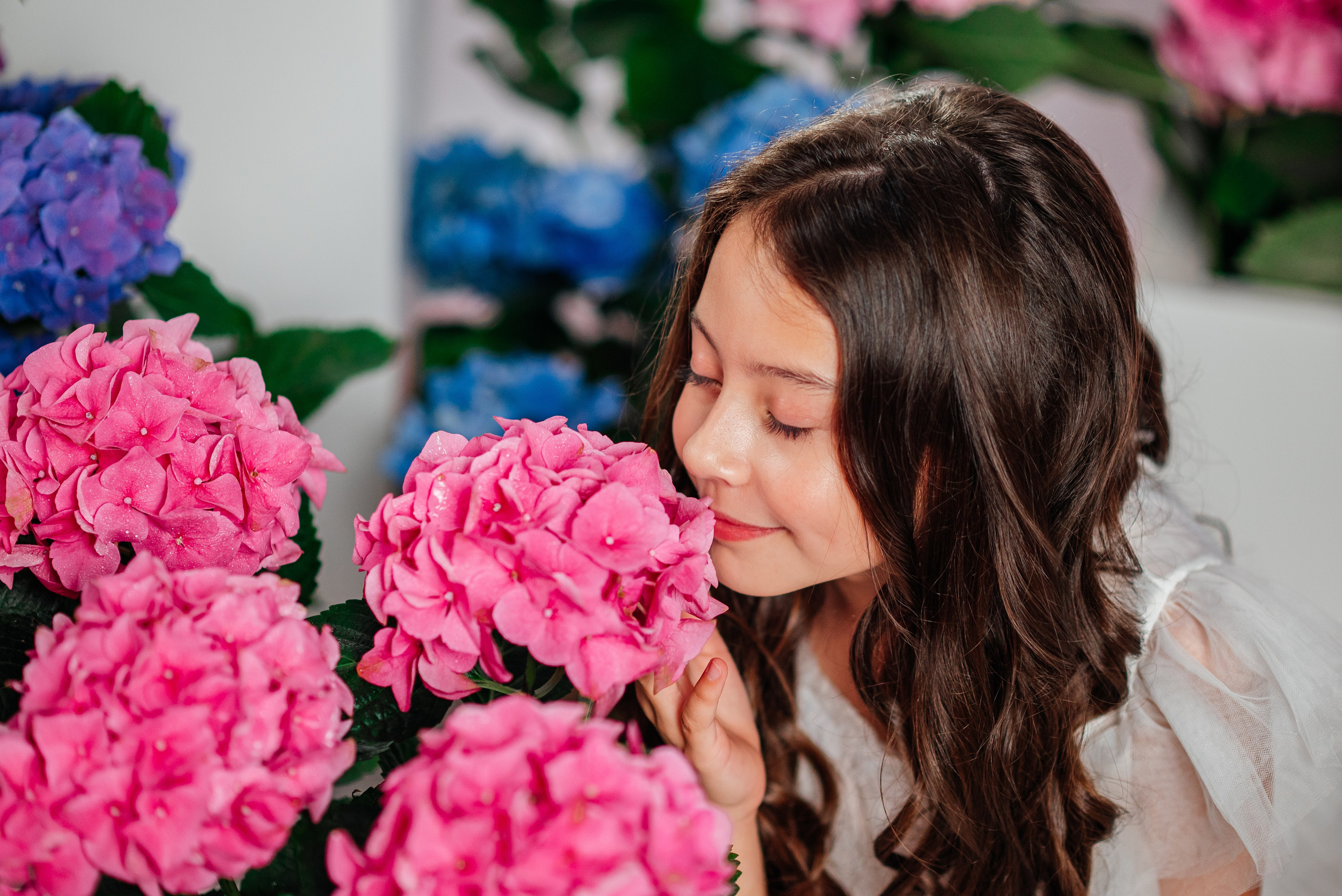 Вероника и гортензии. Семейный фотограф в Краснодаре