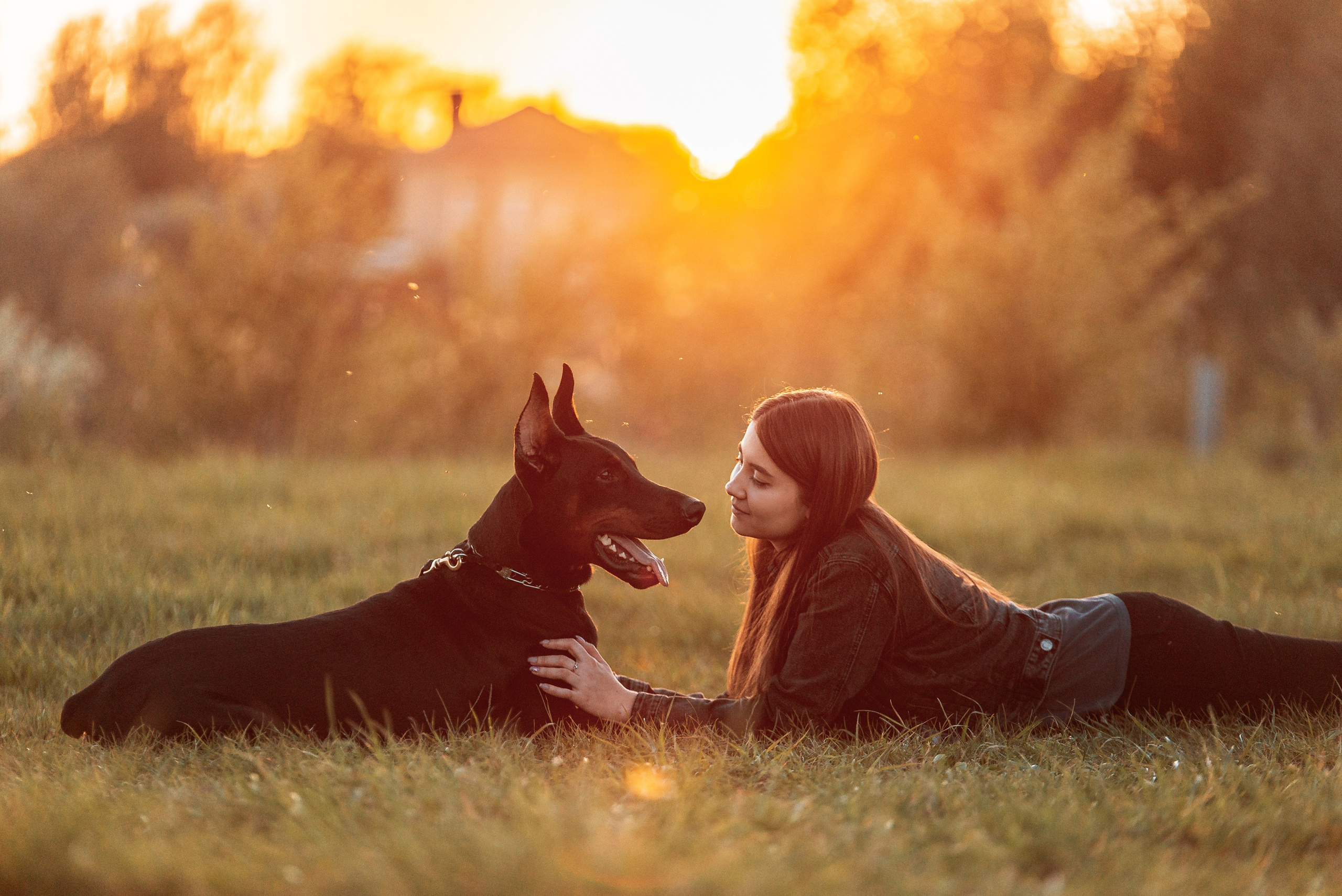 Юля, Андрей и Арес. Фотограф-анималист Анастасия Парфенова|Екатеринбург