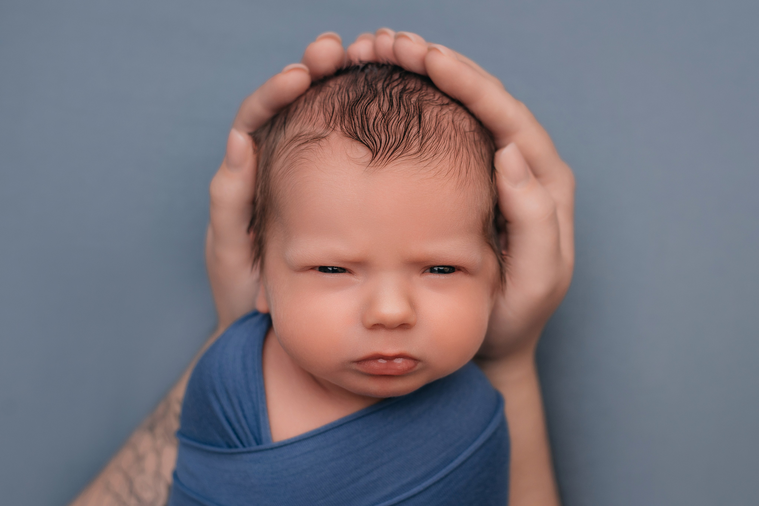Лев. Фотограф новорожденных Белгород