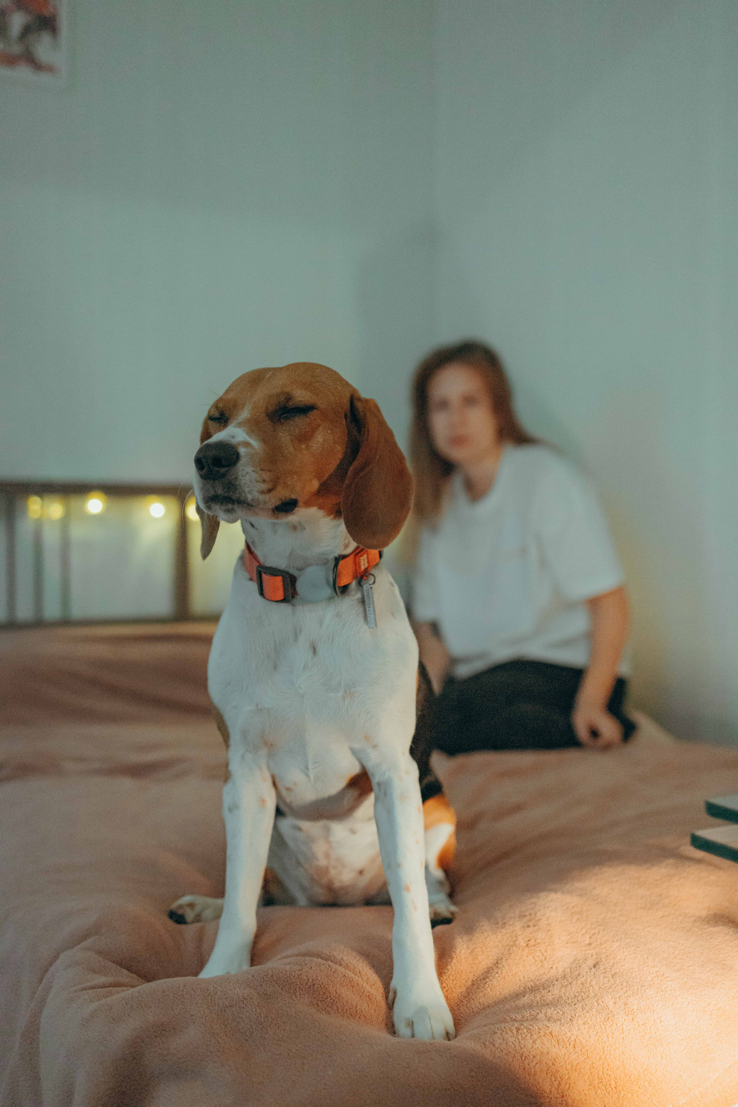 Света и Ива. Фотограф-анималист в Москве Лера Черноног