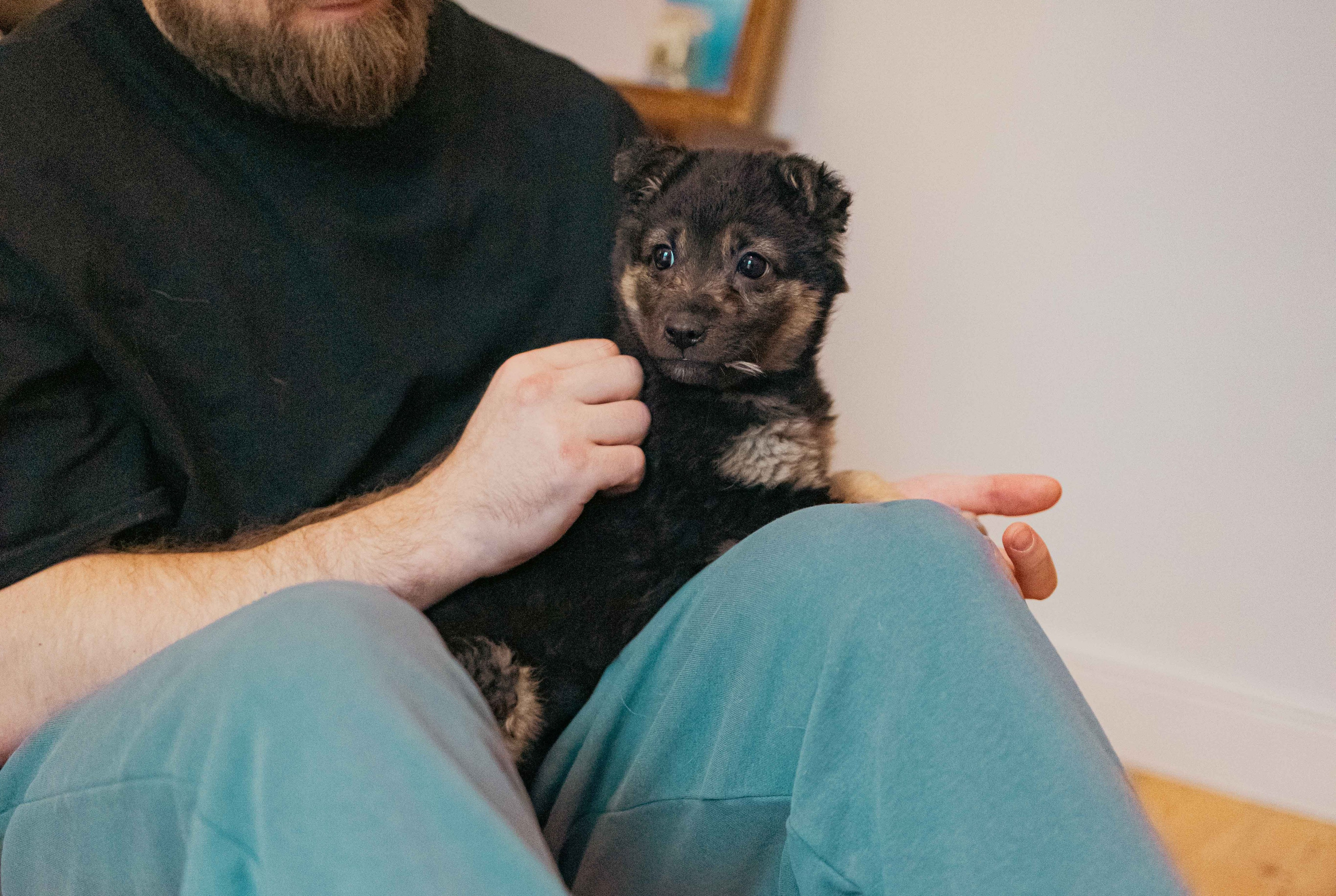 Пеппа. Фотограф-анималист в Москве Лера Черноног