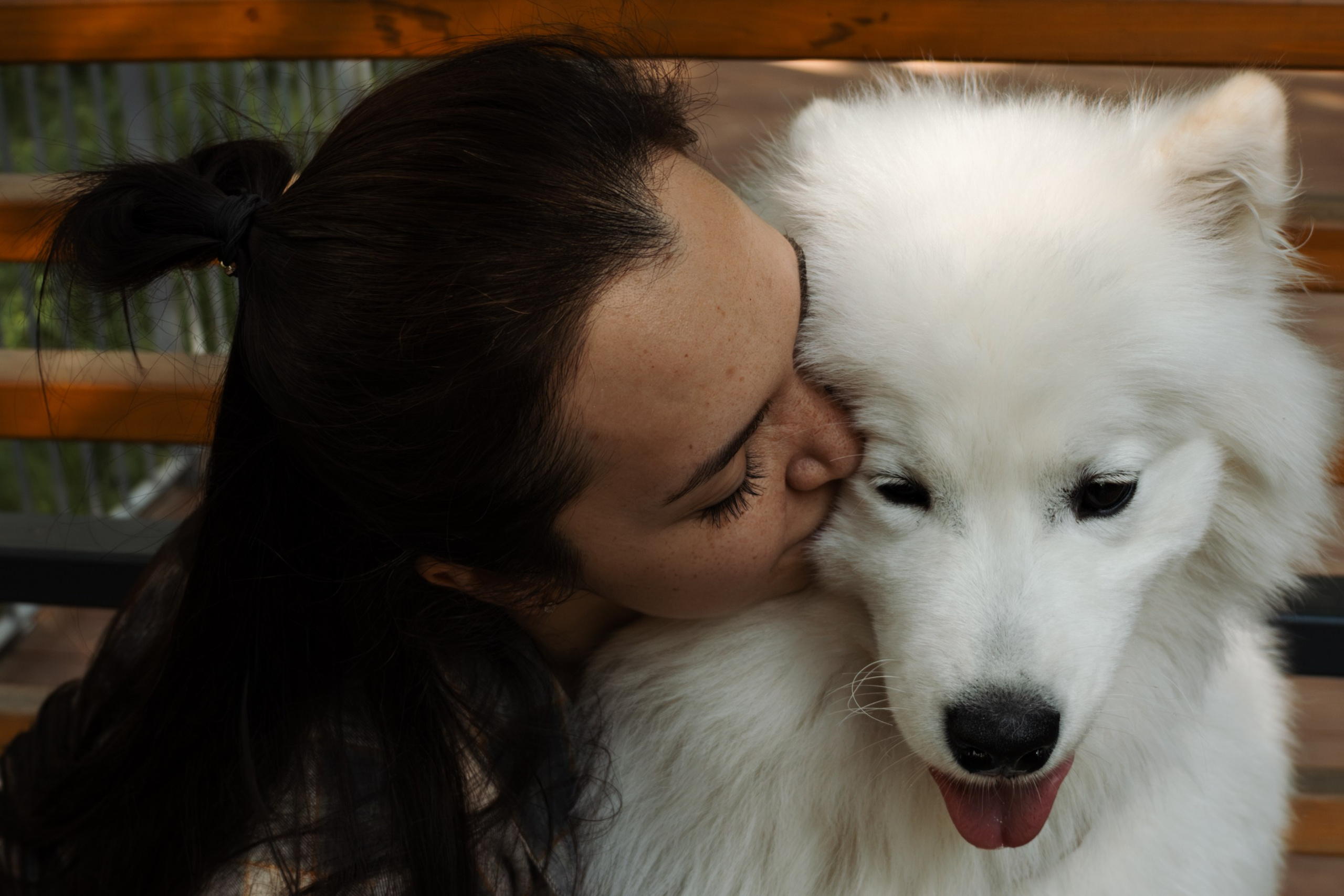 Фотосессия девушки с 2 собаками самоедами в лесопарке. Фотограф-анималист в Москве Екатерина Тихонова