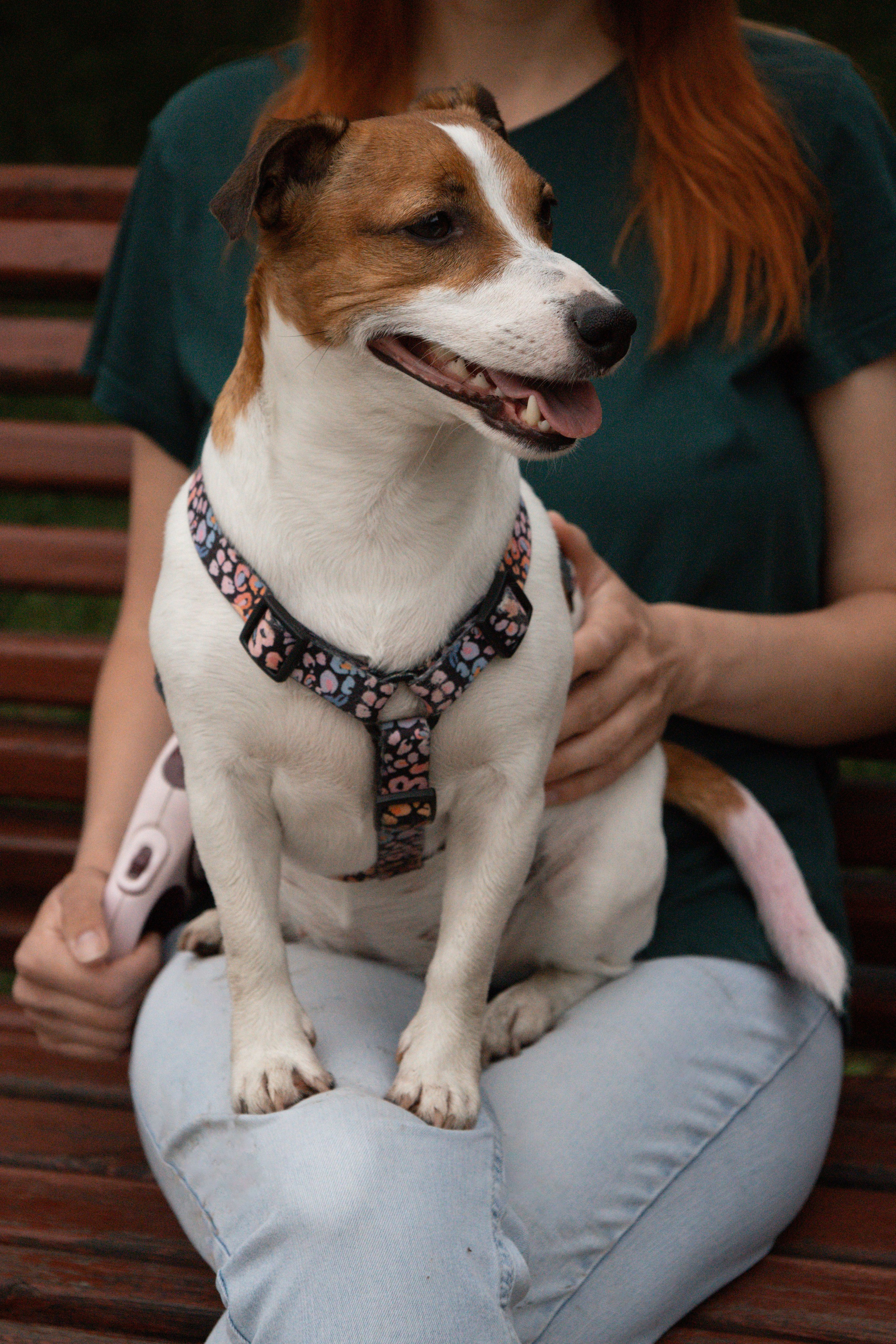 Моя маленькая спутница: Банни и Настя в Южнобутовском парке. Фотограф-анималист в Москве Екатерина Тихонова