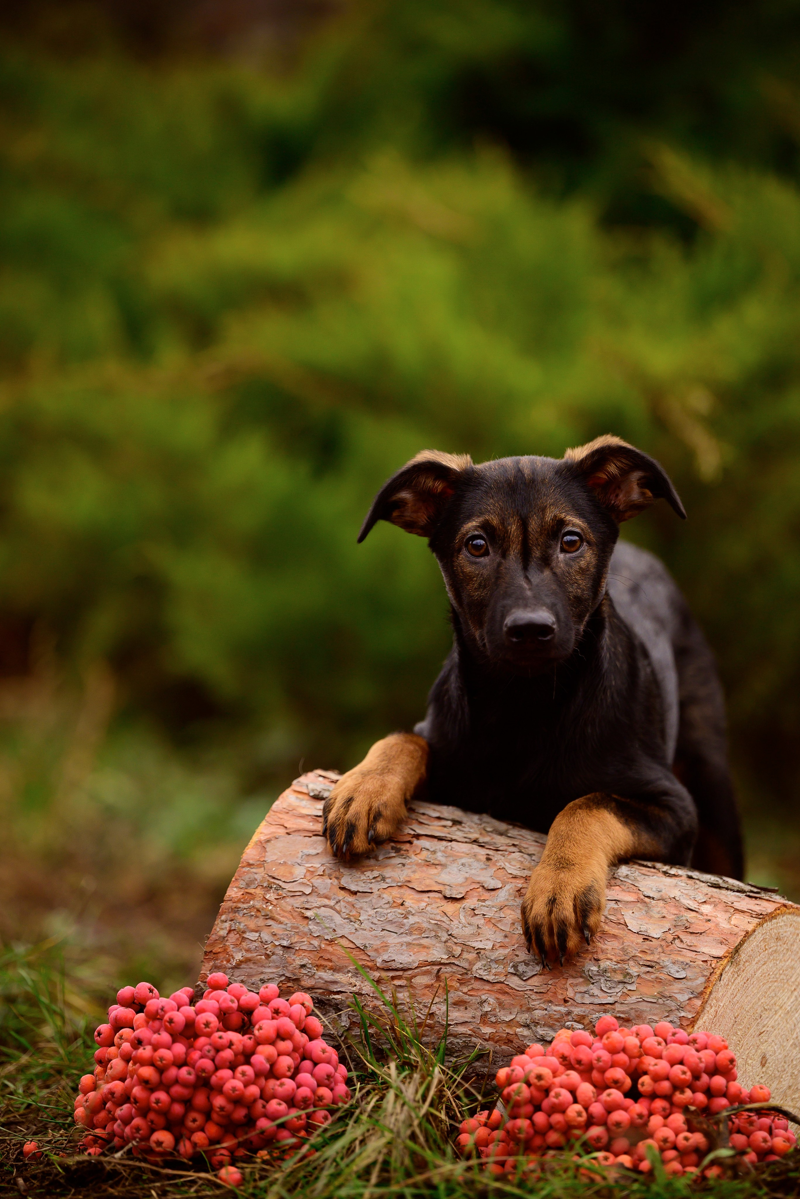 Круассанчики. Мила Астахова