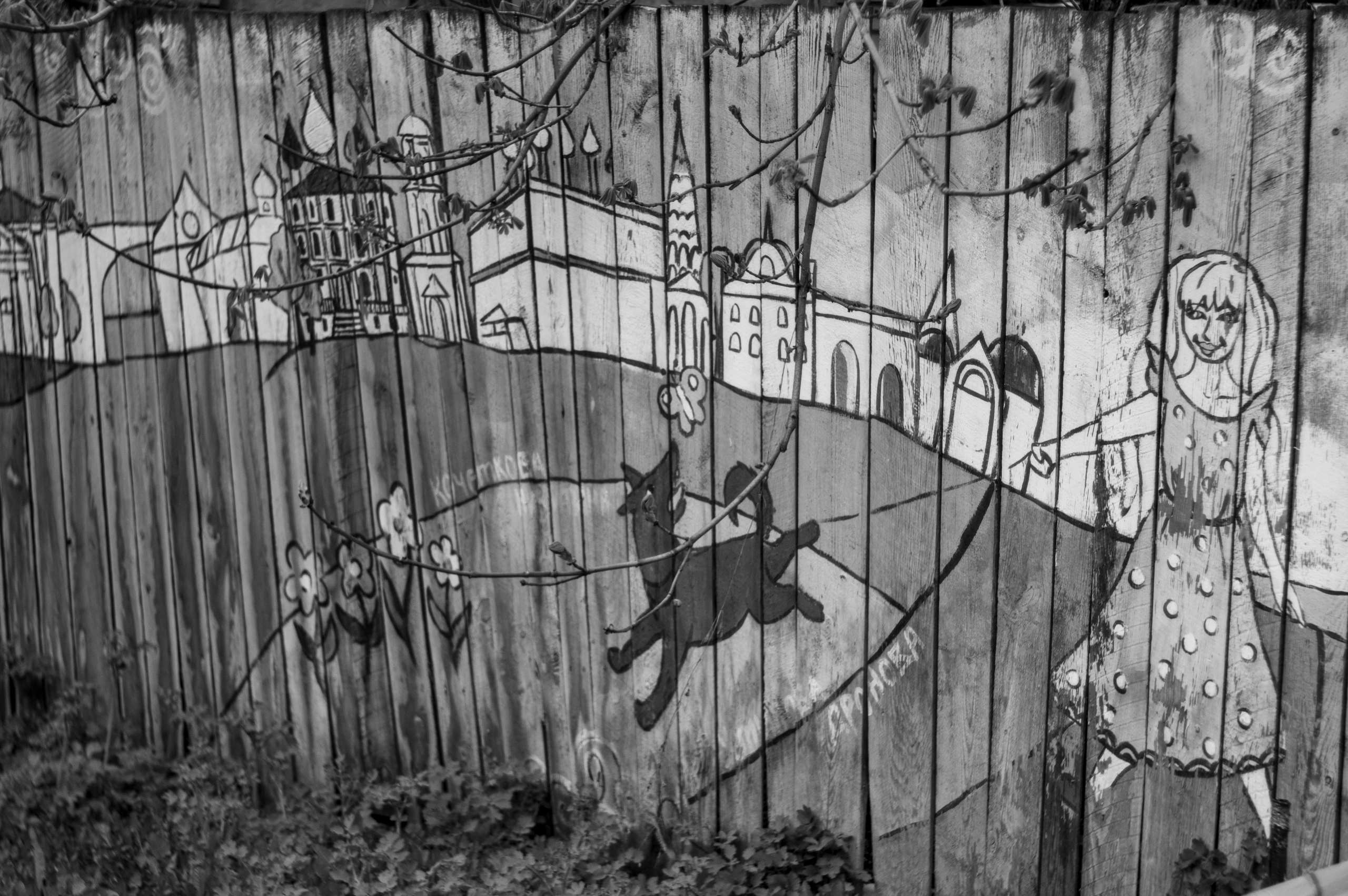 Рязань. Май 2022. Фотограф Роман Адлер