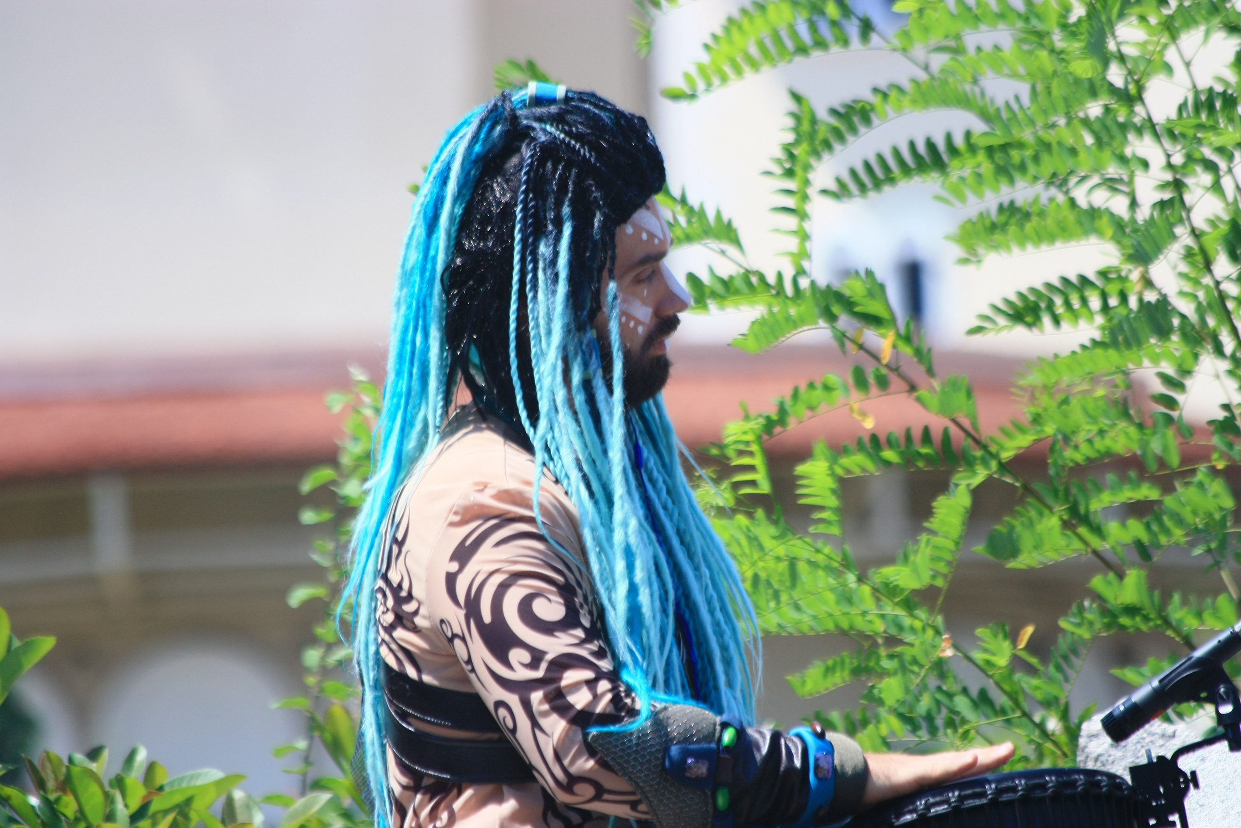 Первые кадры. Сочи — парк. Фотограф Роман Адлер