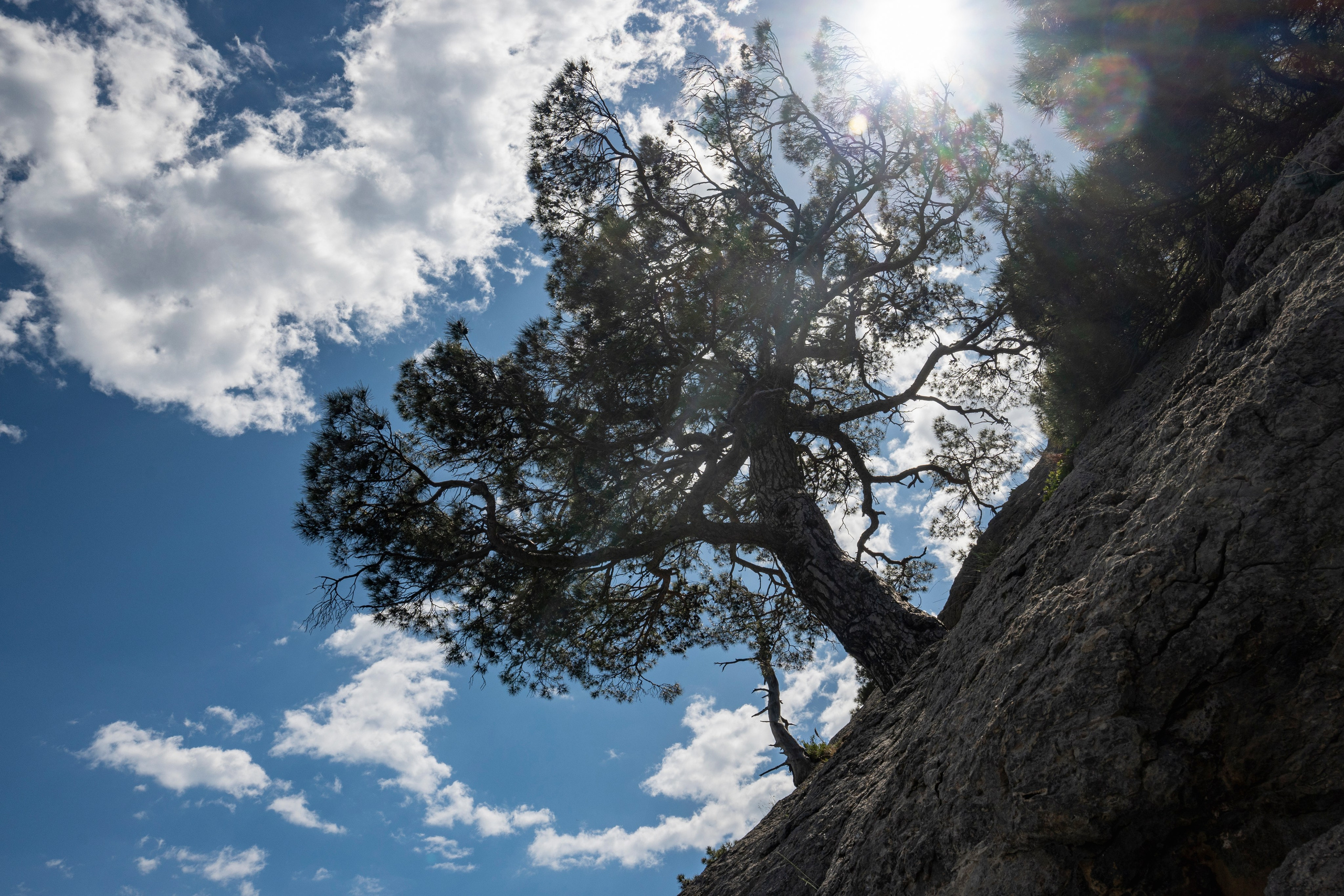 Крым май 2022. Фотограф Роман Адлер