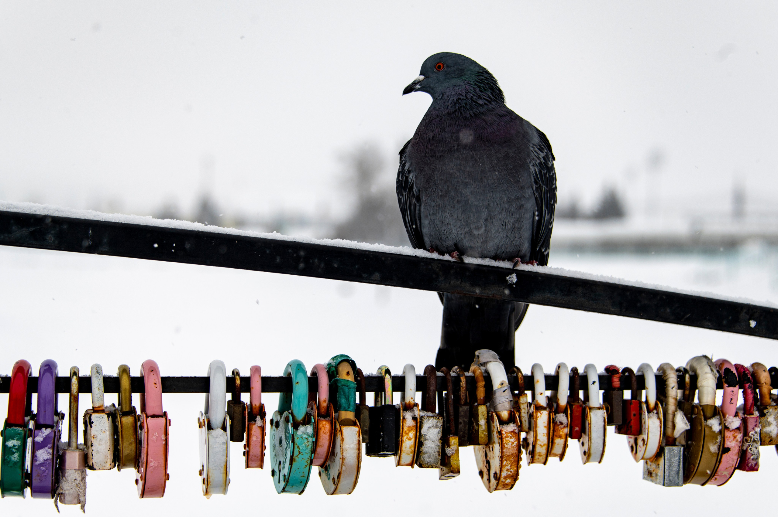 Саранск. Январь 2024. Фотограф Роман Адлер