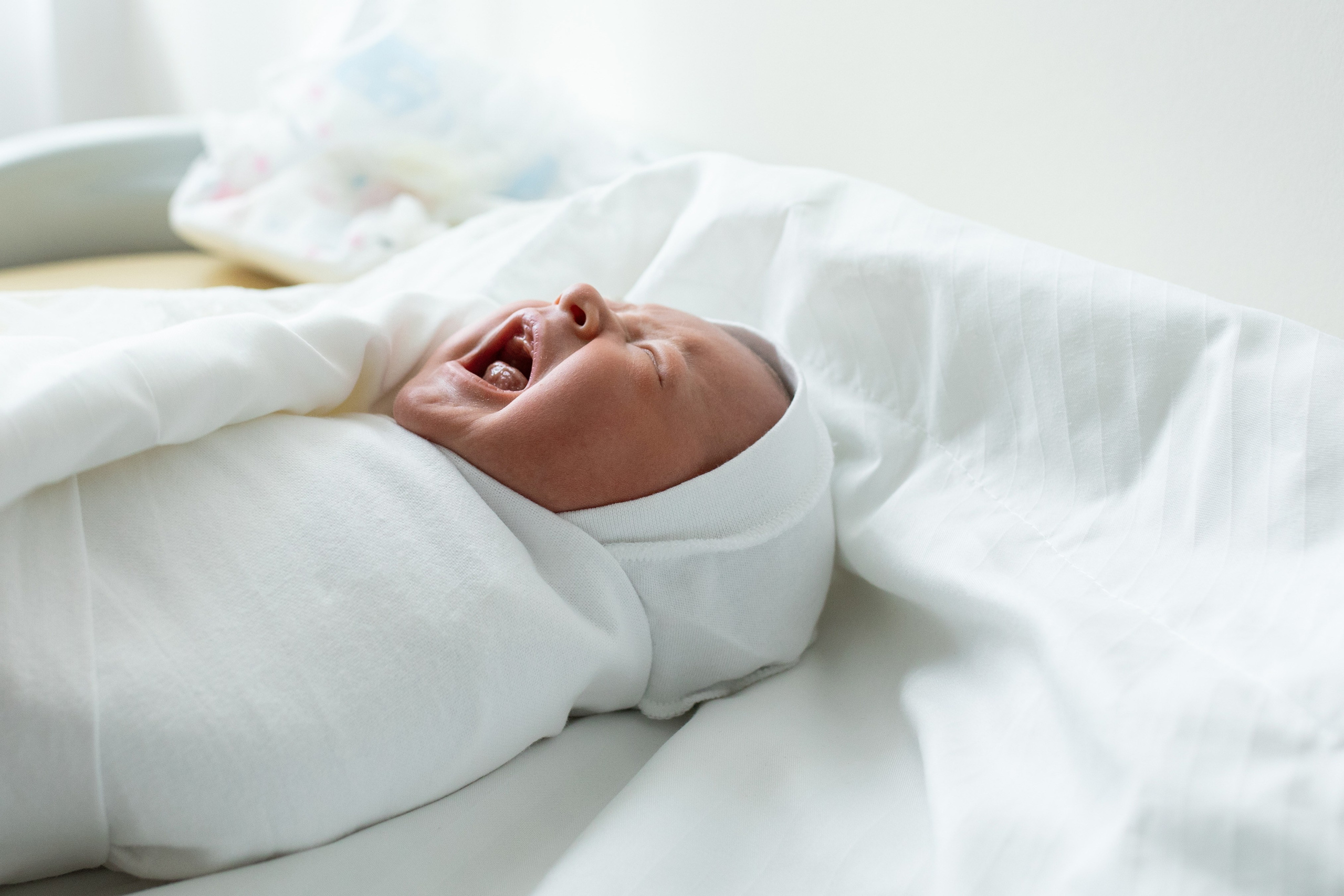 Авиценна. Фотограф в Новосибирске Ася Зверева