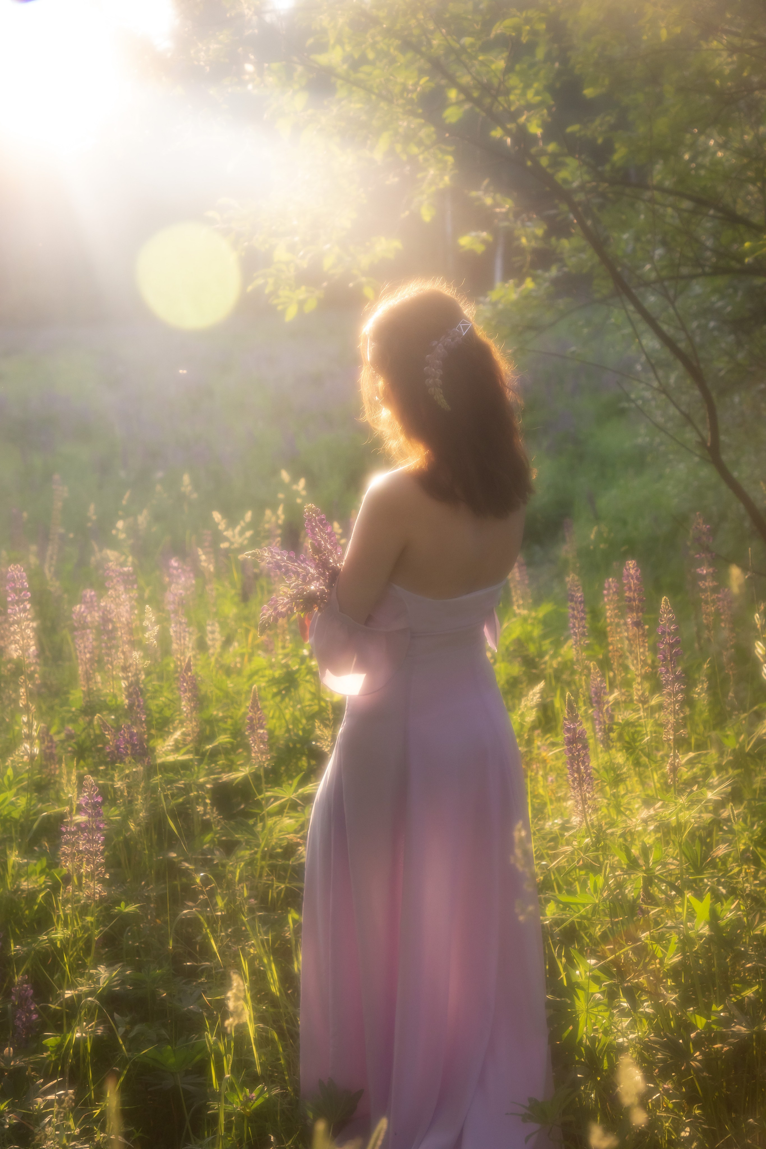 Люпиновое поле. Юлия Башкатова, сказочный фотограф, Москва