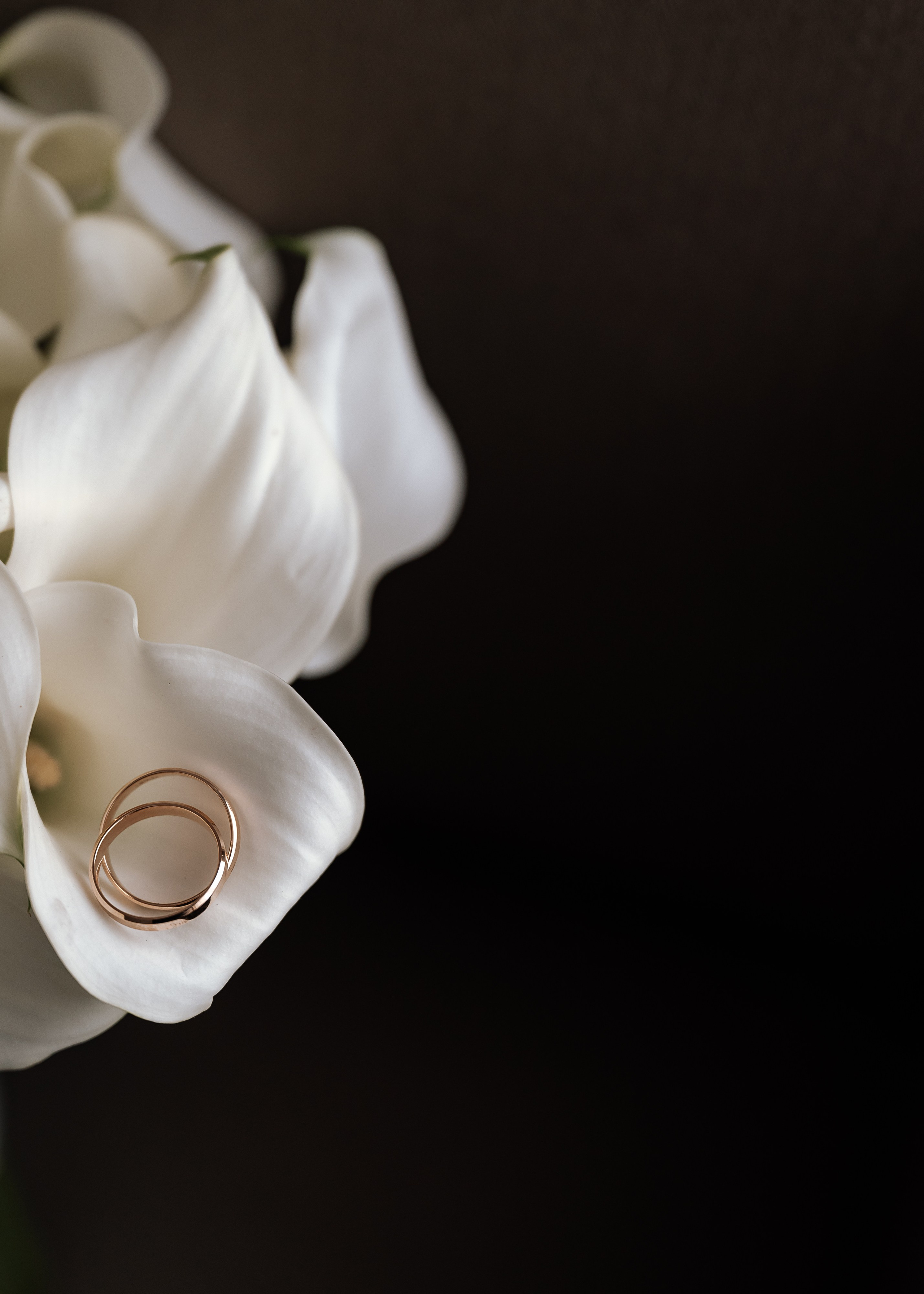 Сергей & Анастасия 2024. Фотограф Москва. Шульгинова Ольга