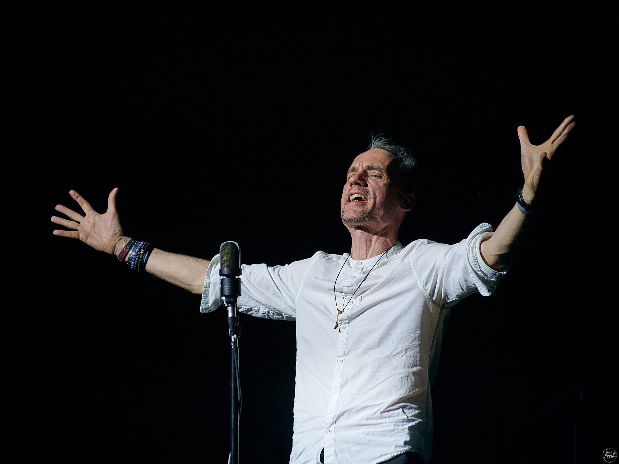 Необарды: Ромарио, Павел Пиковский, Василий Уриевский, Павел Фахртдинов. Фотографии отовсюду и обо всем