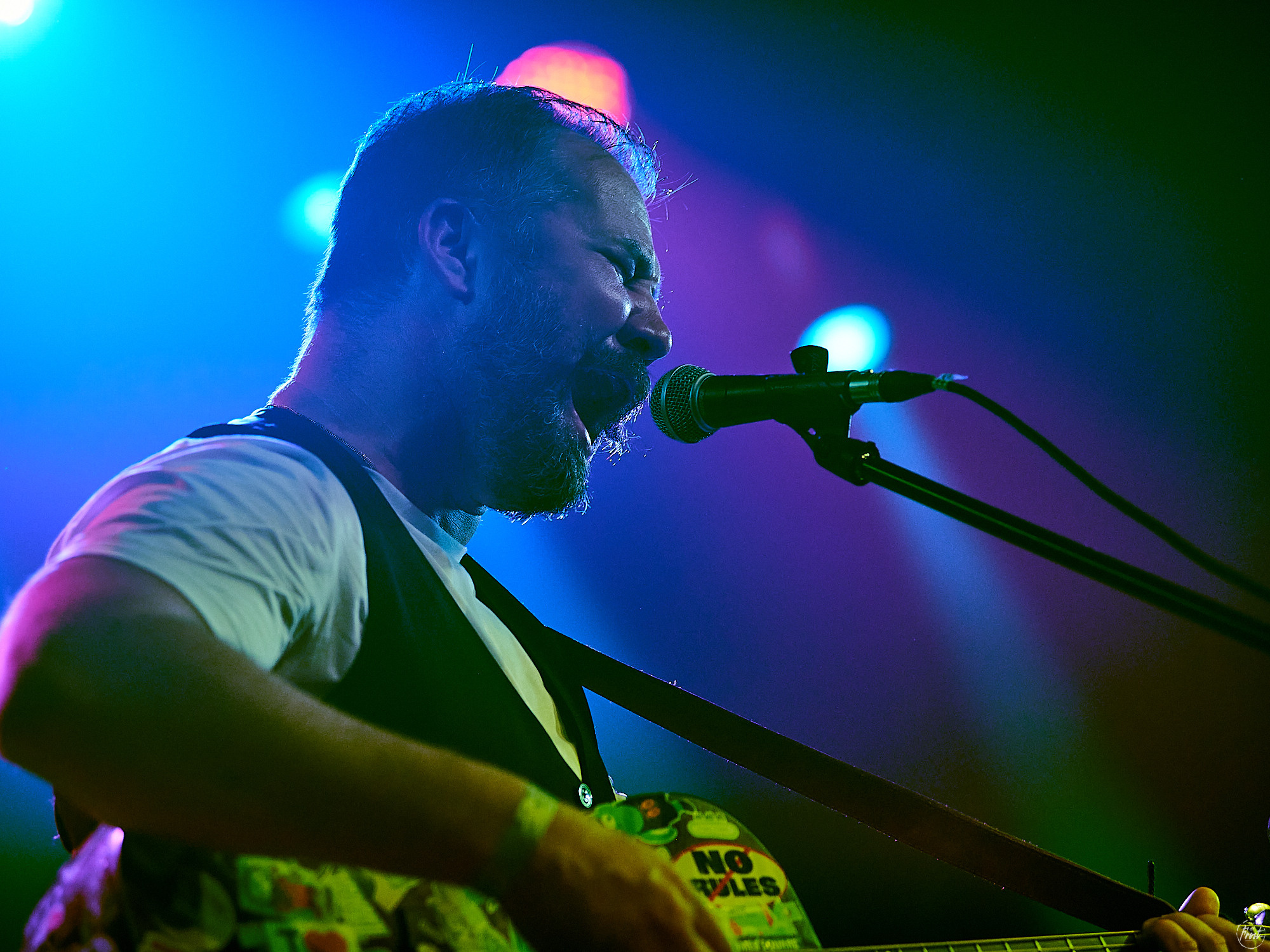 Необарды: Ромарио, Павел Пиковский, Василий Уриевский, Павел Фахртдинов. Фотографии отовсюду и обо всем