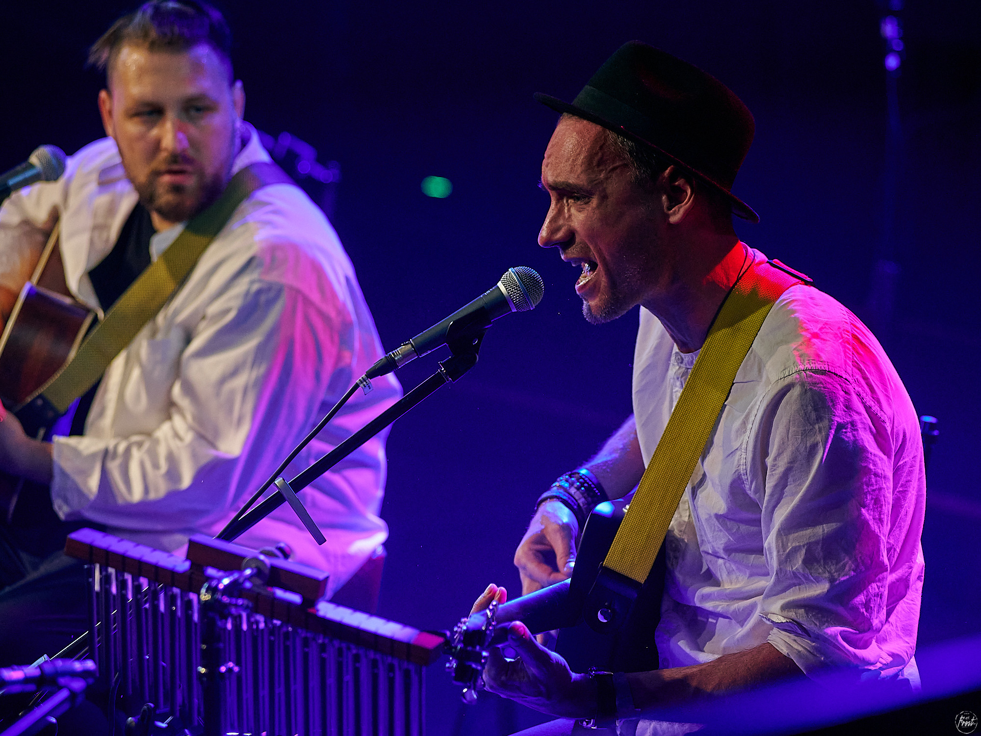 Необарды: Ромарио, Павел Пиковский, Василий Уриевский, Павел Фахртдинов. Фотографии отовсюду и обо всем