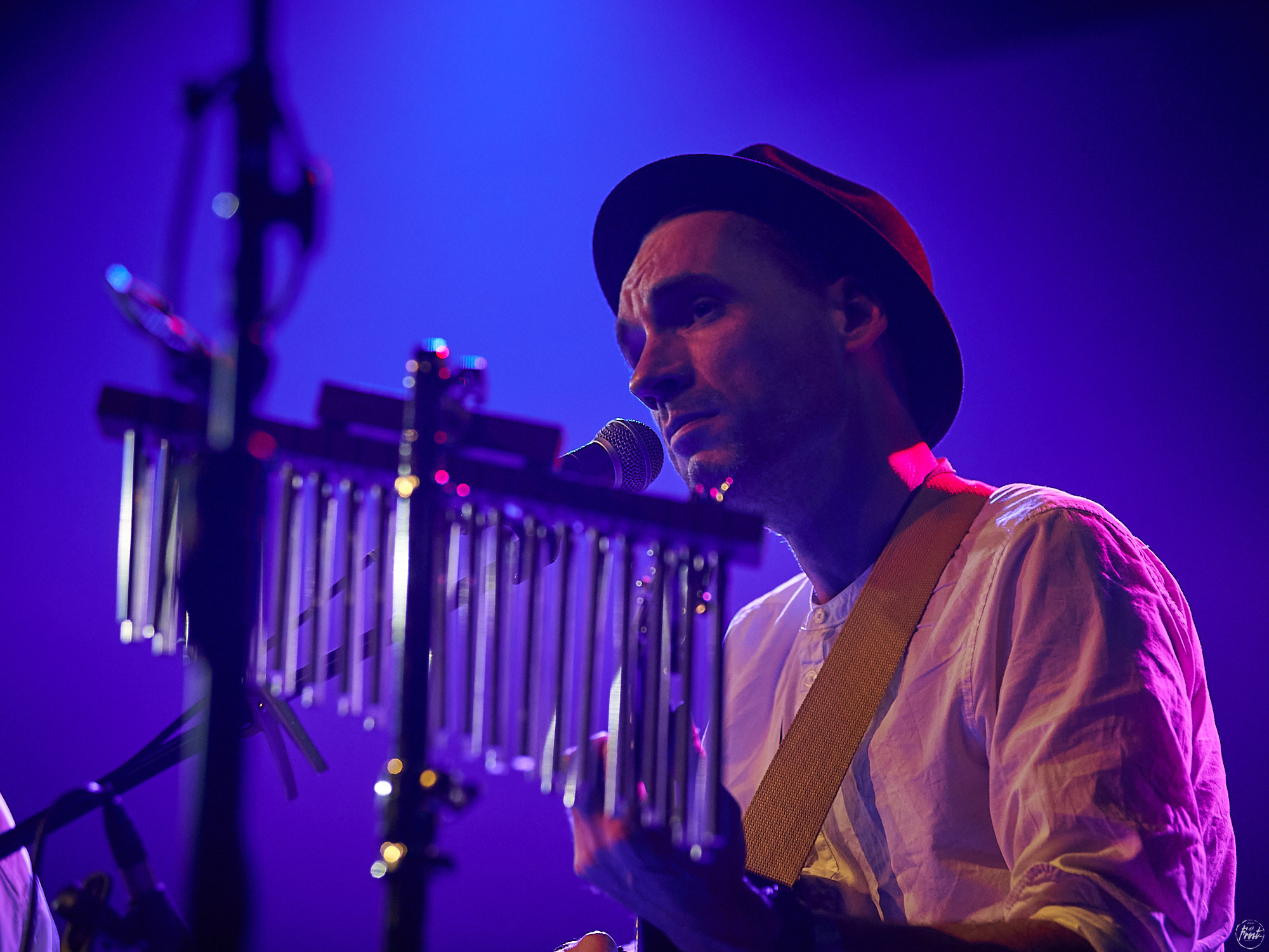 Необарды: Ромарио, Павел Пиковский, Василий Уриевский, Павел Фахртдинов. Фотографии отовсюду и обо всем