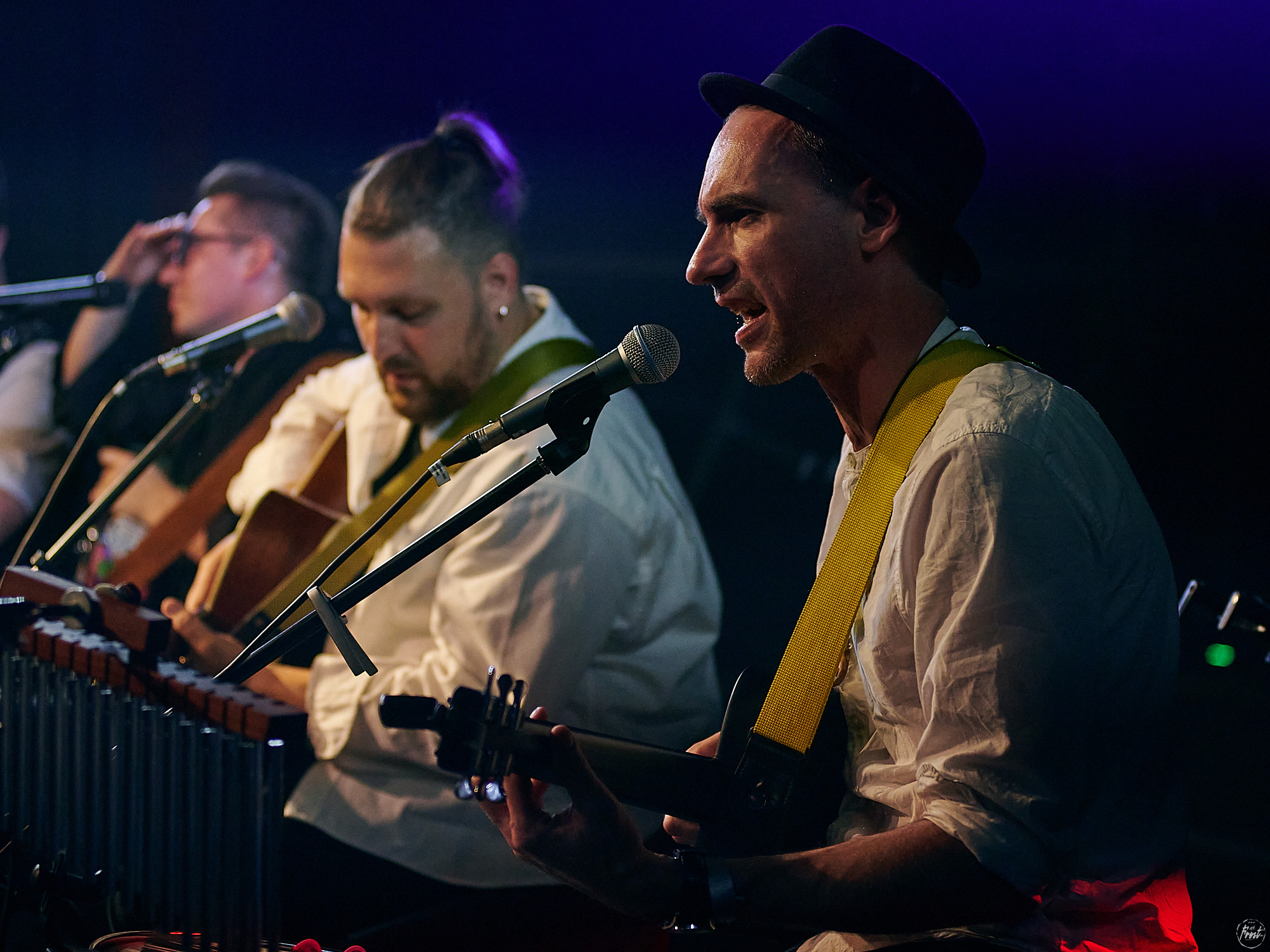 Необарды: Ромарио, Павел Пиковский, Василий Уриевский, Павел Фахртдинов. Фотографии отовсюду и обо всем