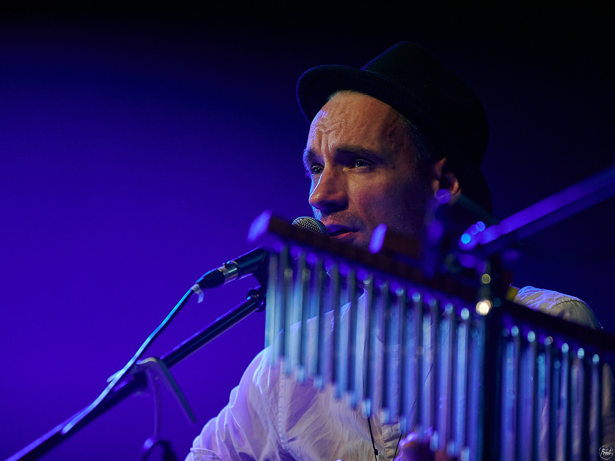 Необарды: Ромарио, Павел Пиковский, Василий Уриевский, Павел Фахртдинов. Фотографии отовсюду и обо всем