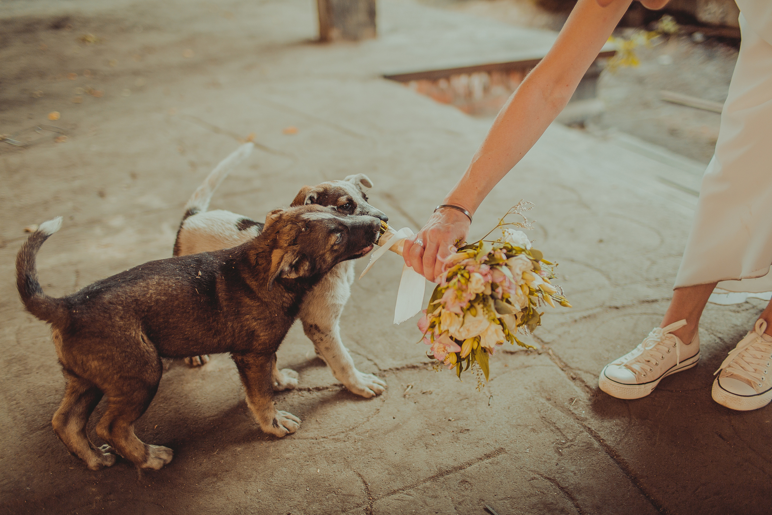 Агалаковы). Детский, свадебный и семейный фотограф Юлия Курбатова, Санкт-Петербург