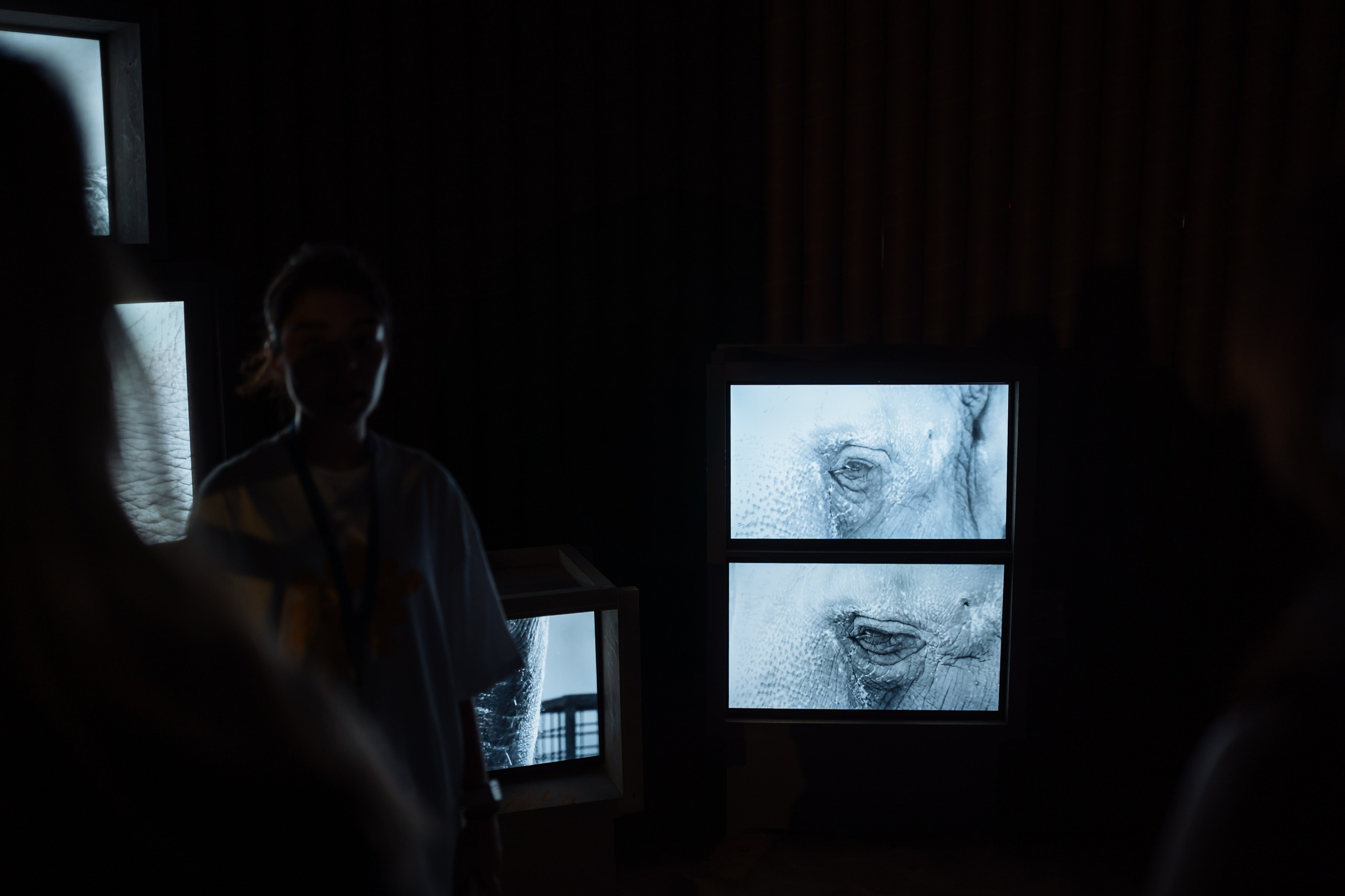 ПРЕГОЛЯ НЕ РЕКА. Художественная группа «Нежные Бабы»