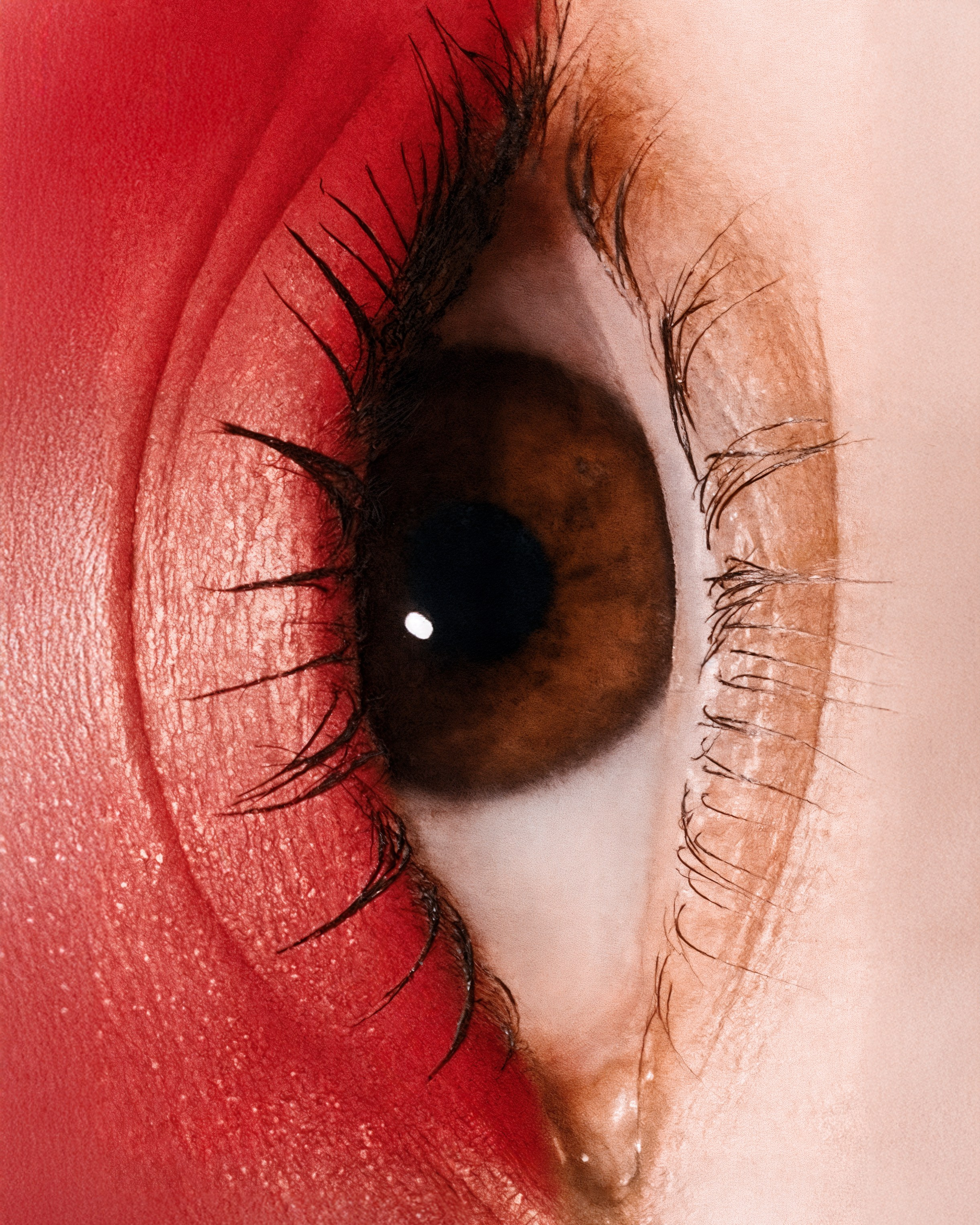 NEURAL. Natalie Pavlinova