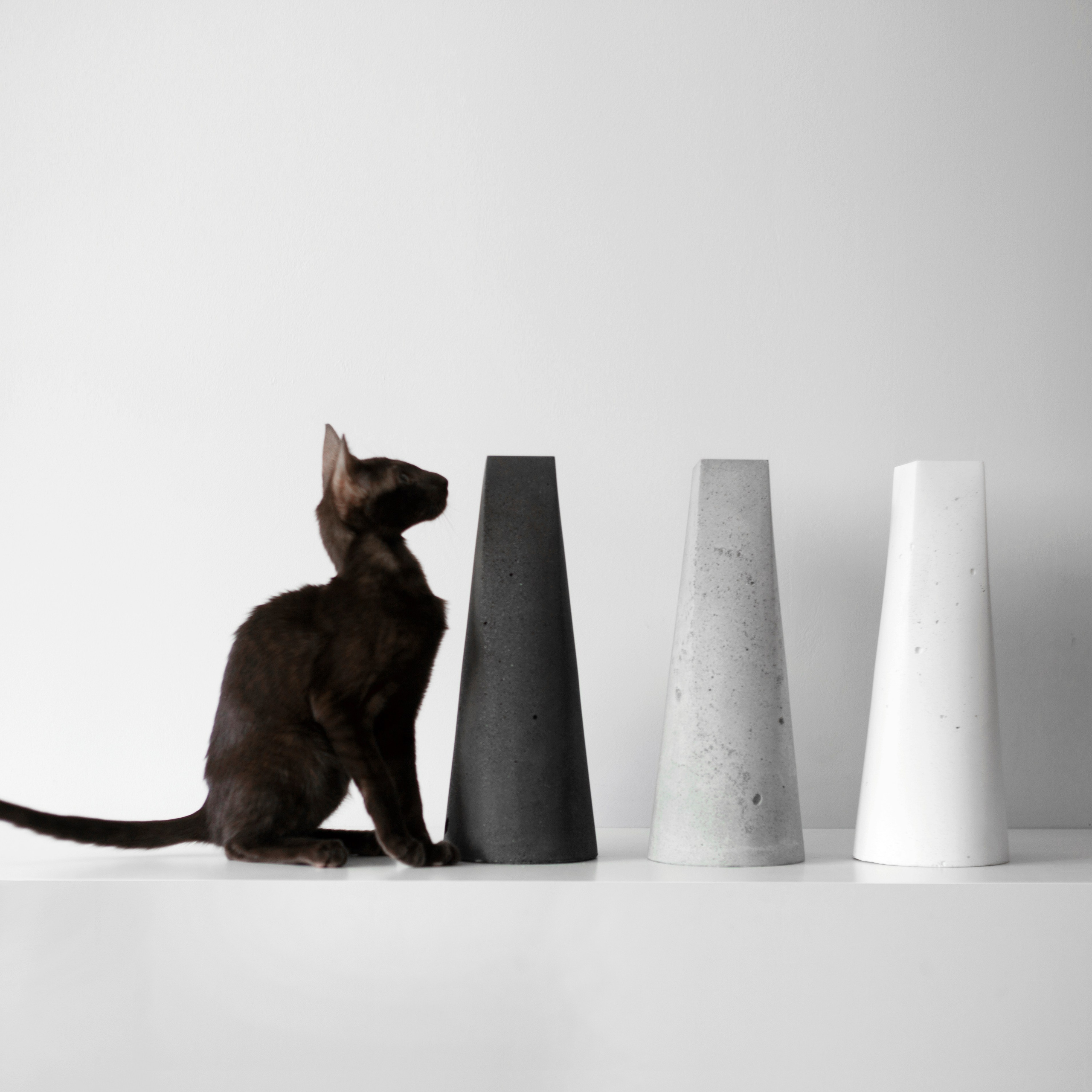 VASE 3. SHONGIN SERGEI