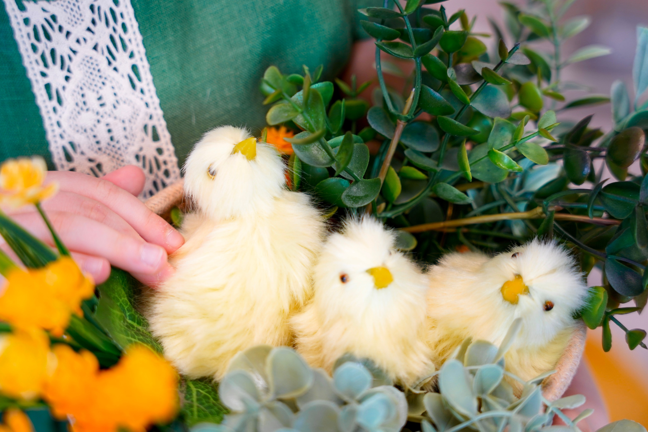 Весенний фотопроект № 2. Семейный и детский фотограф Александра Гвоздикова