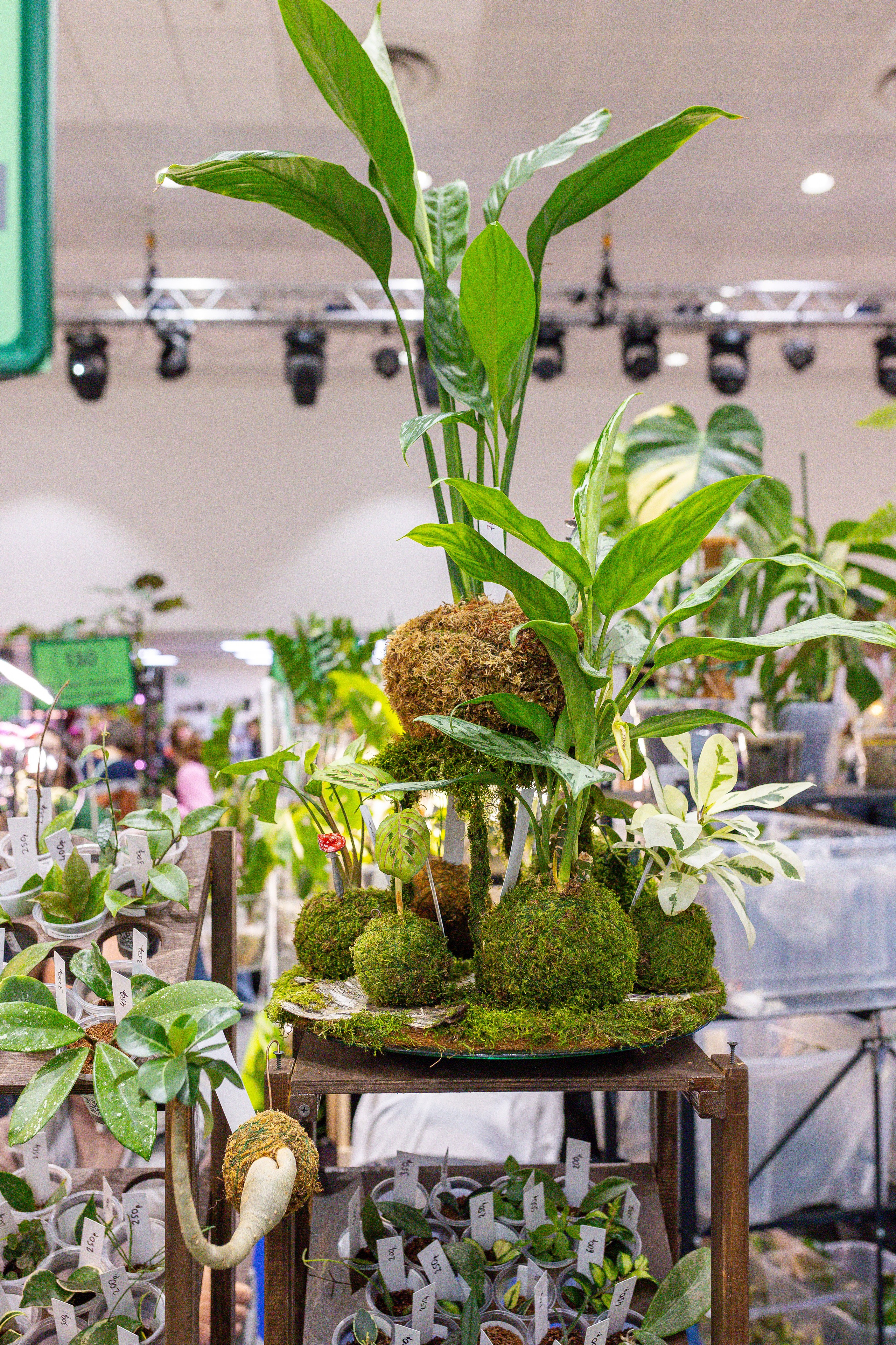 Монстериум 11–12 октября. Александра Куликова фотограф, Москва