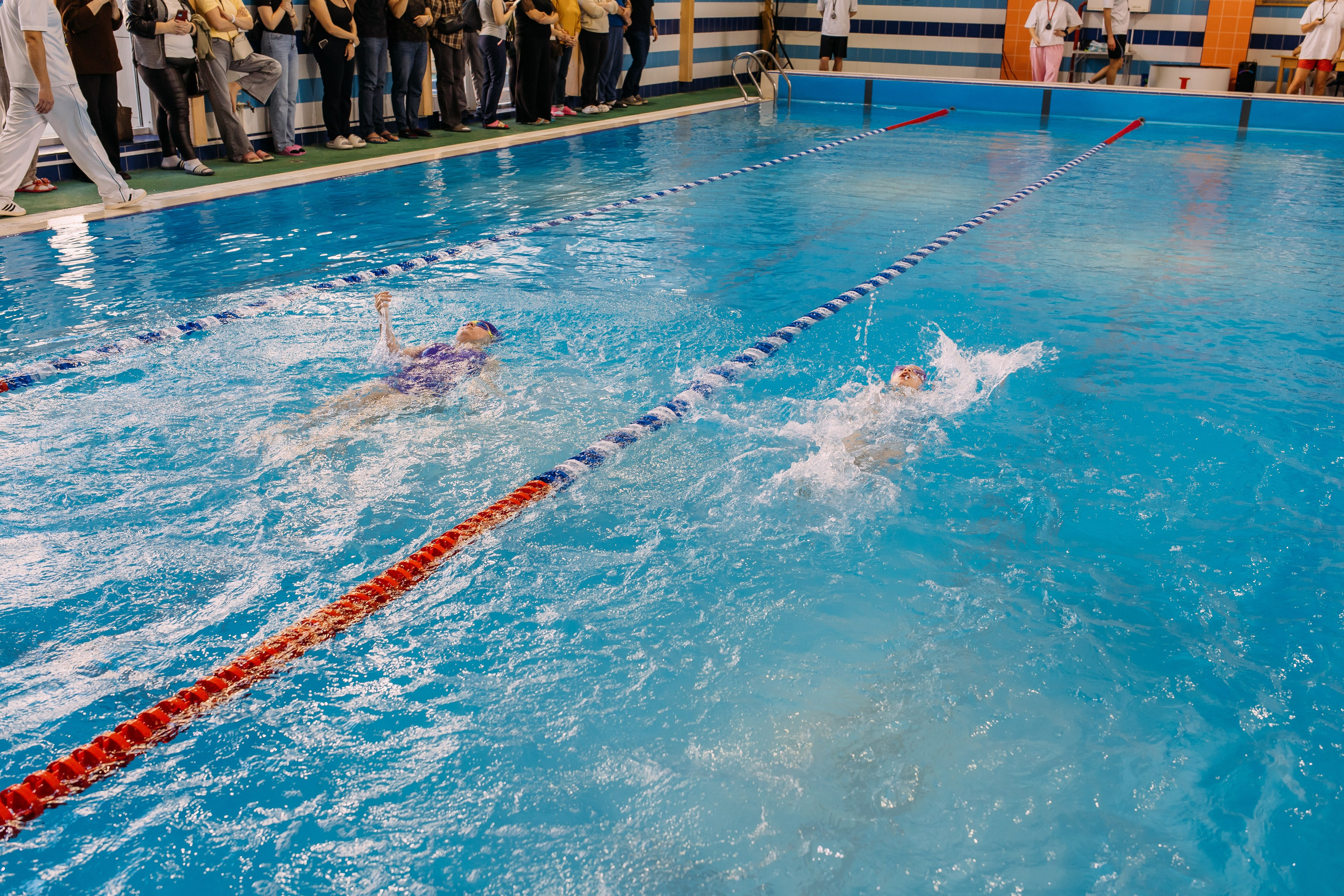 Соревнования по плаванию. Семейный фотограф в Волгограде Надежда Головко
