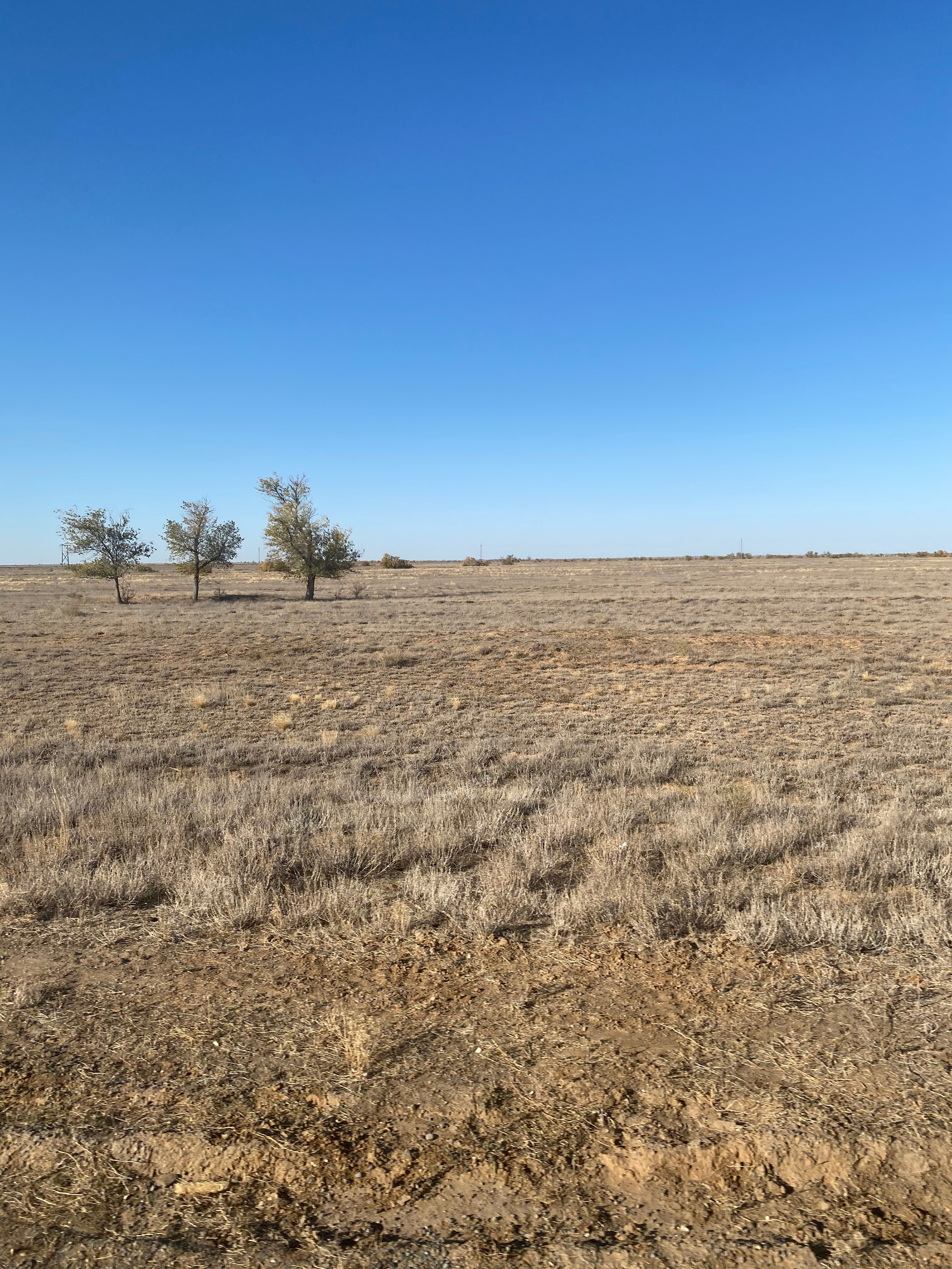 Астрахань — 20. Своя Мастерская