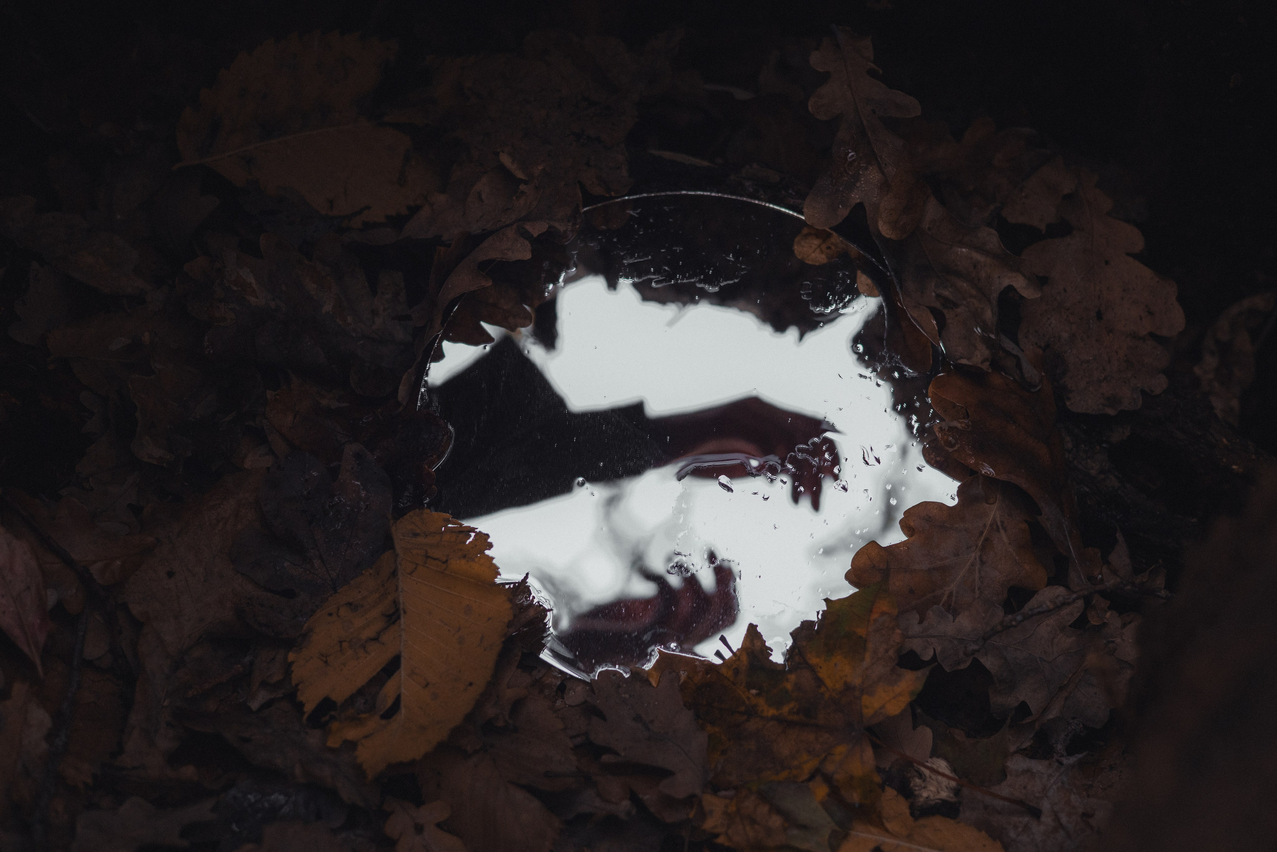 Oppressive atmosphere. Фотограф Бишкек