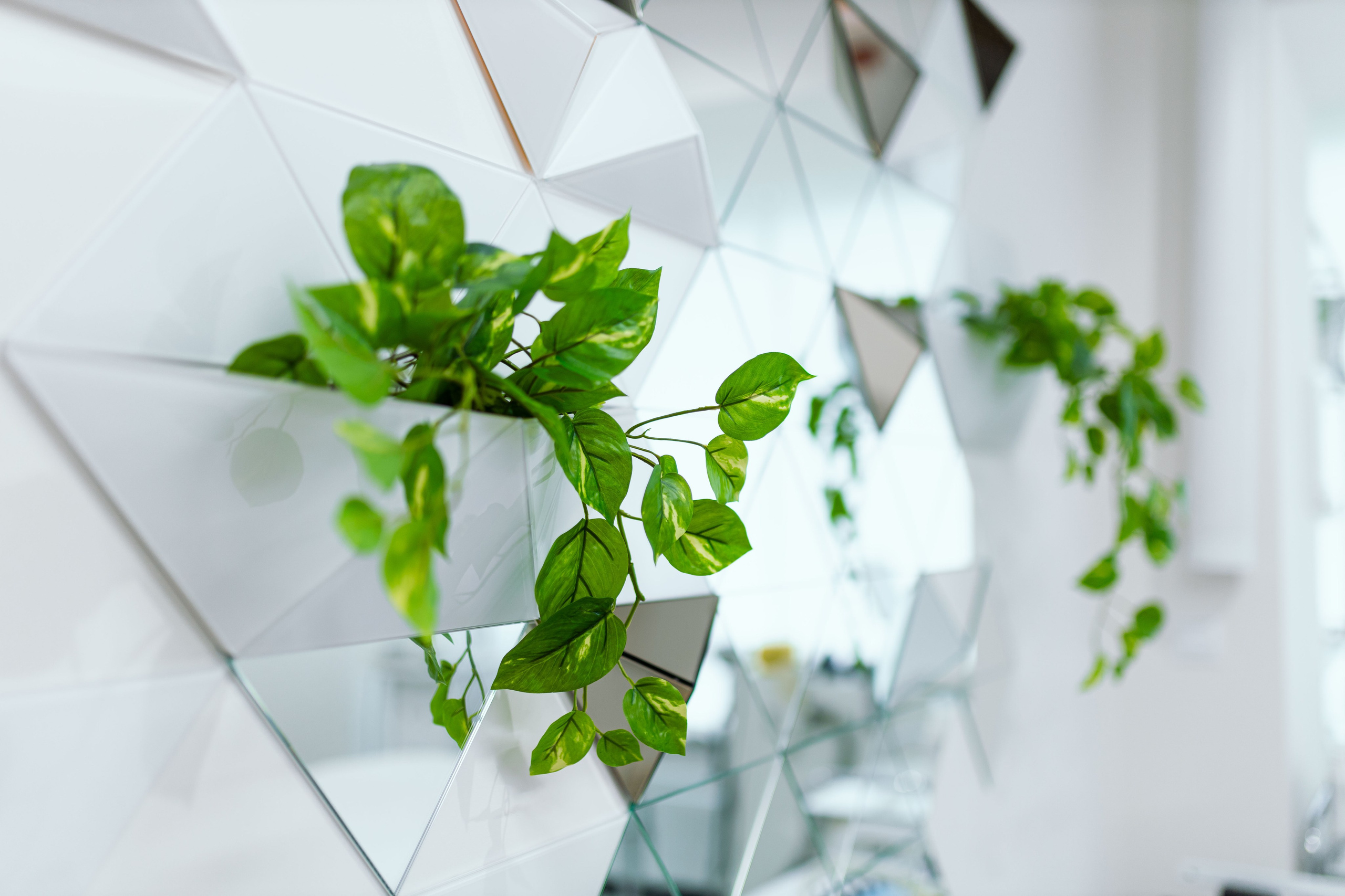 Контент съемка Ваниальное небо Ижевск. Бизнес фотограф Ижевск — Назаров Роман