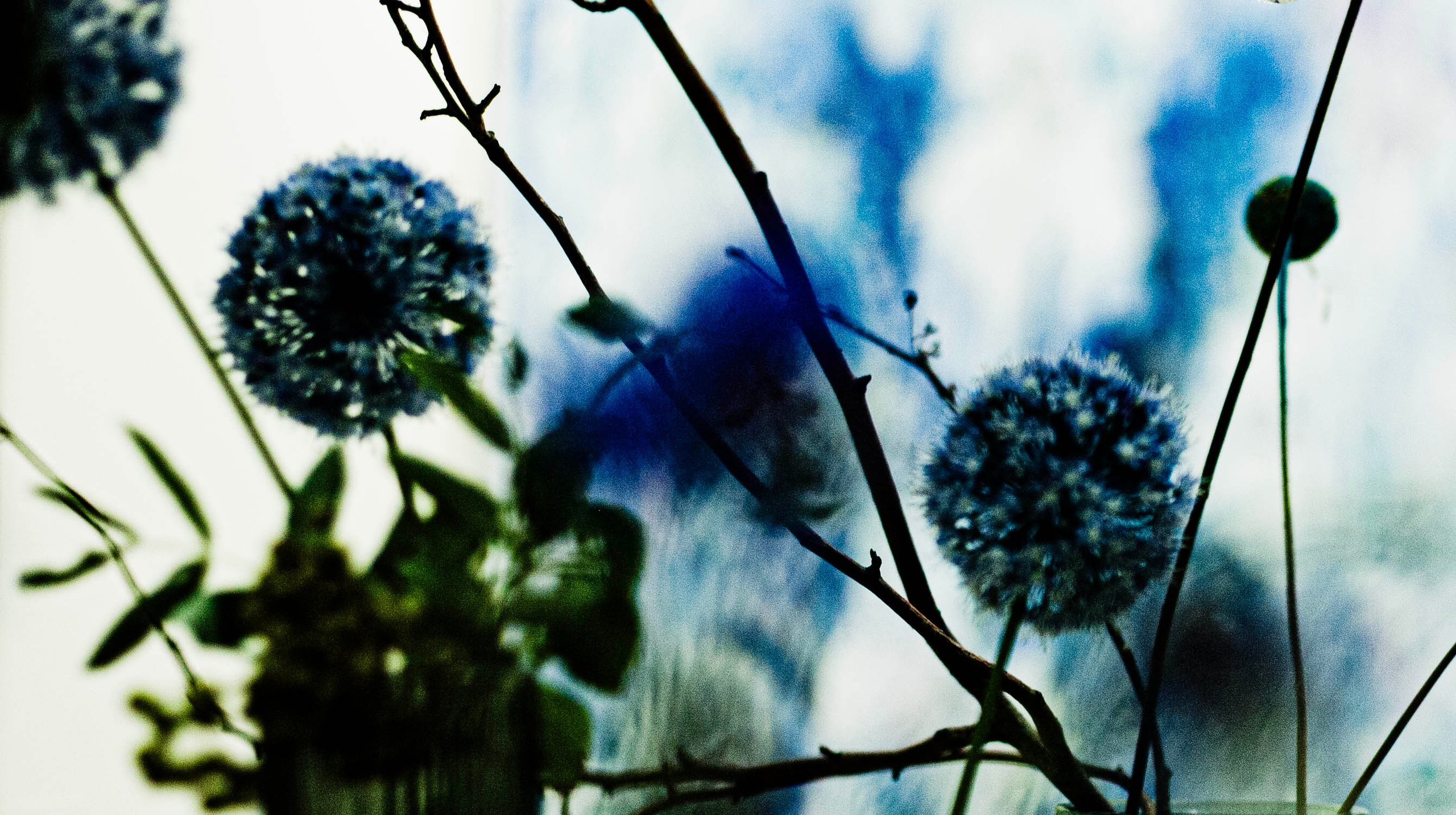 THE DOOR TO SUMMER. YAKUBOVICH EVA PHOTOGRAHER