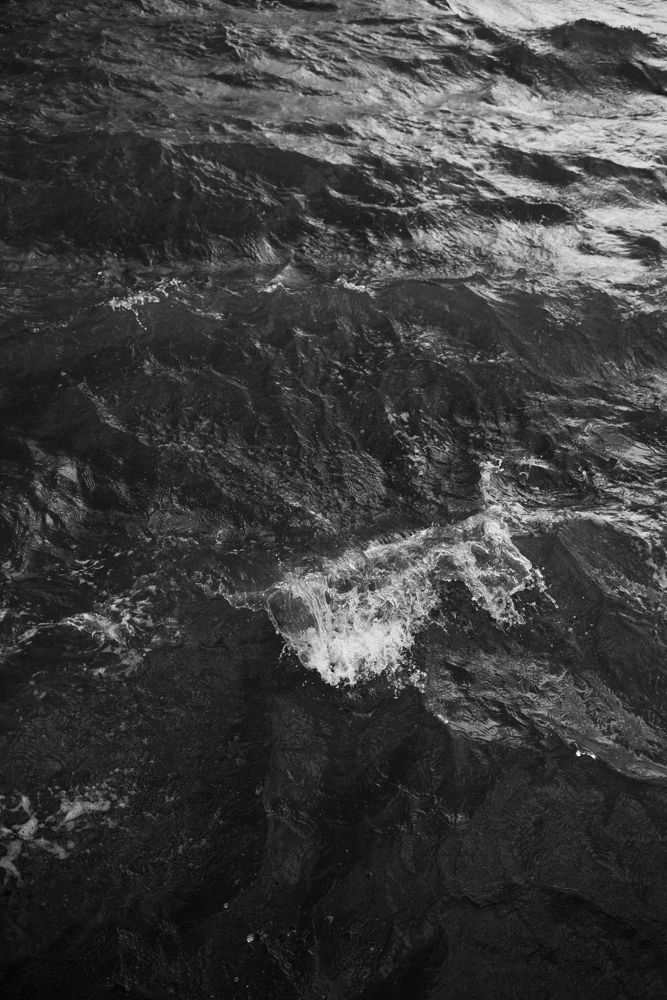 P & E. Фотограф Ольга Сапронова. Свадебный фотограф Ольга Сапронова