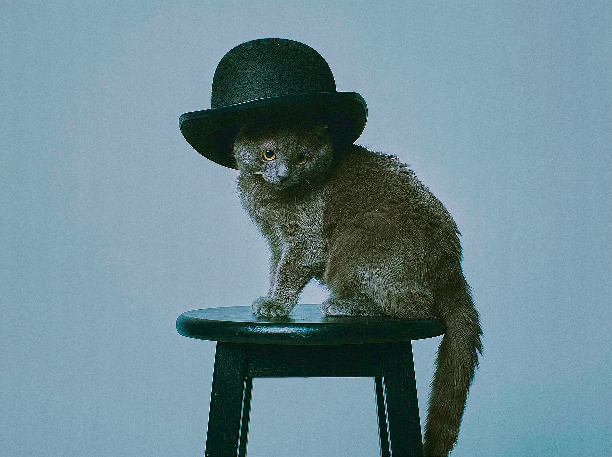 Тимофей и Оскар