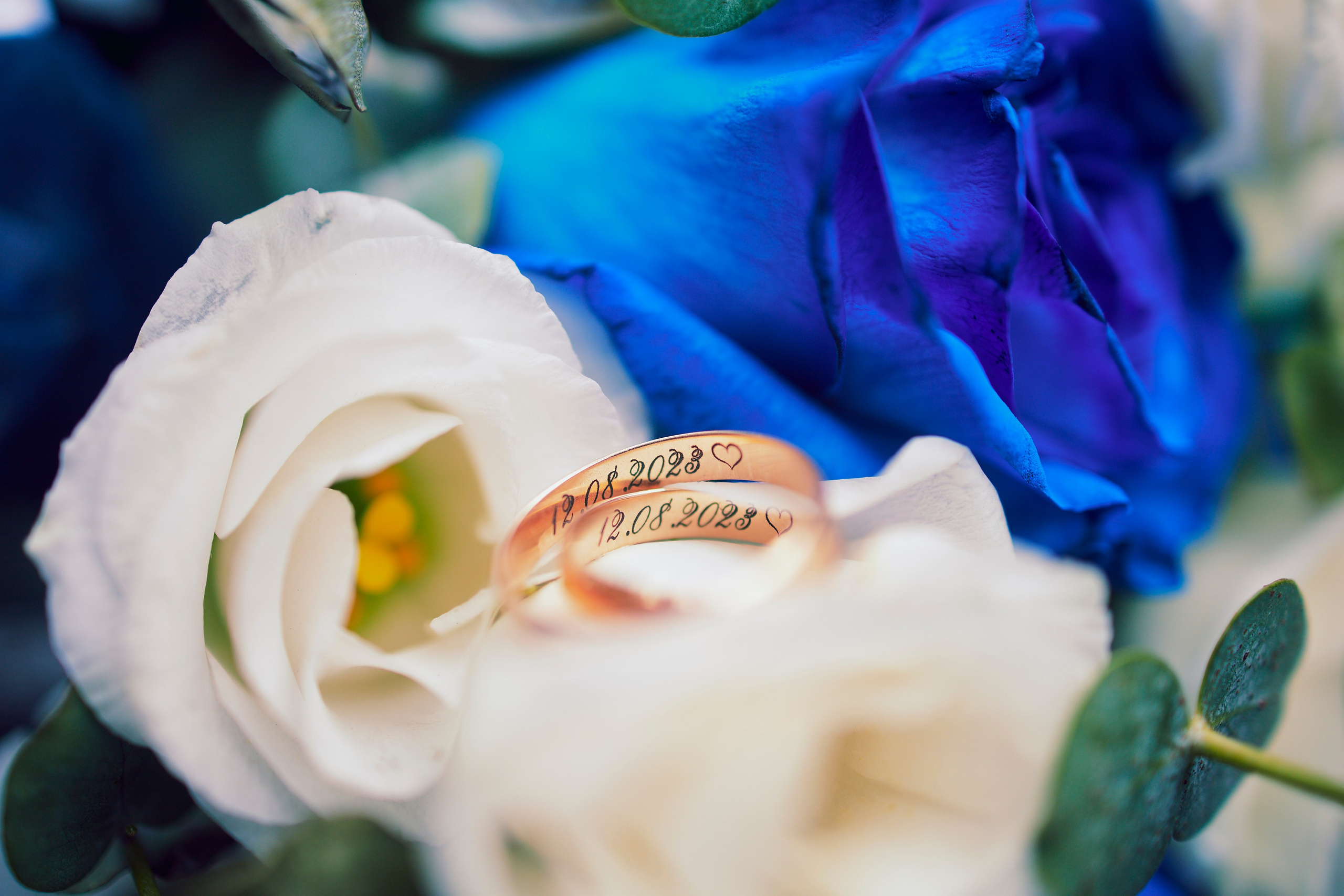 Илья и Елизавета. Фотограф Иван Кузьмин на любое Ваше мероприятие