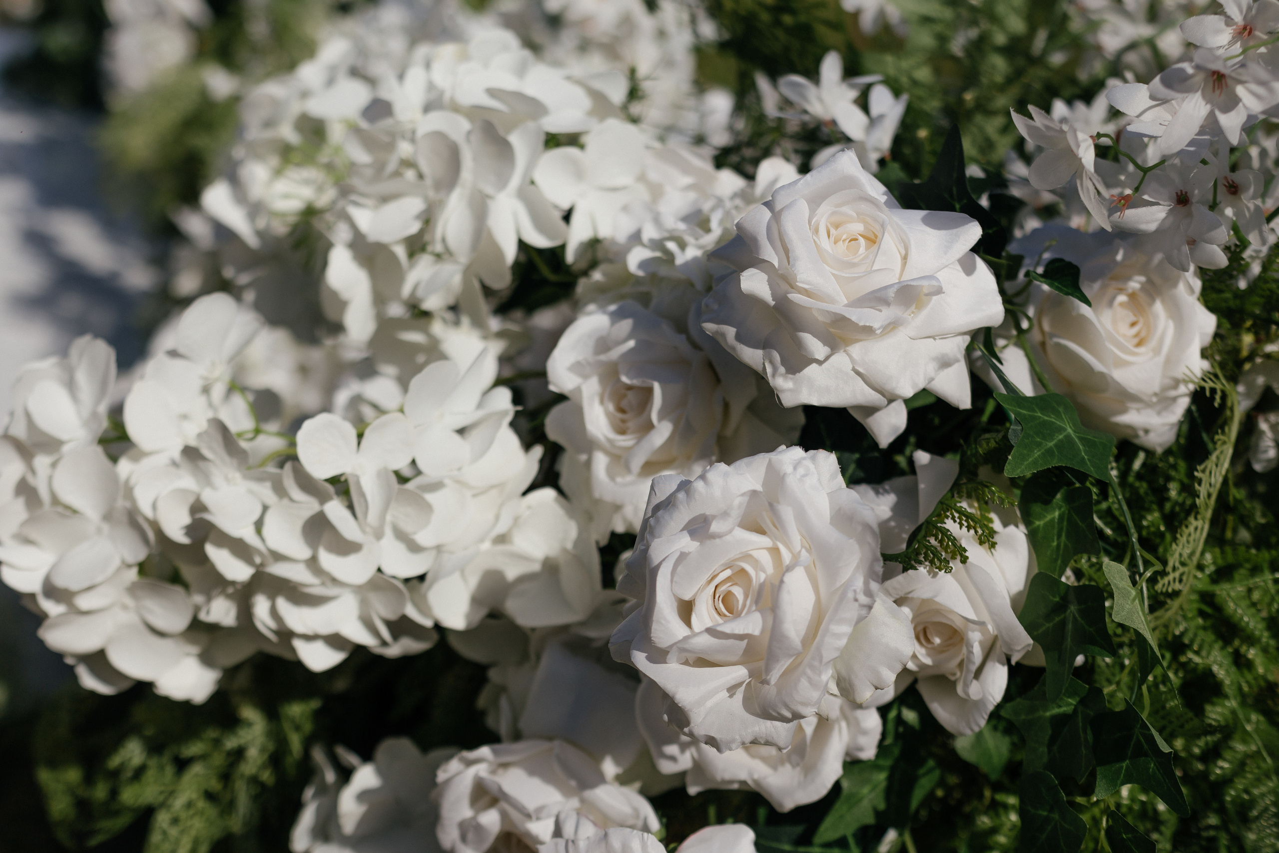 Максим и Настя. Свадебный фотограф в Краснодаре Николай Крауз