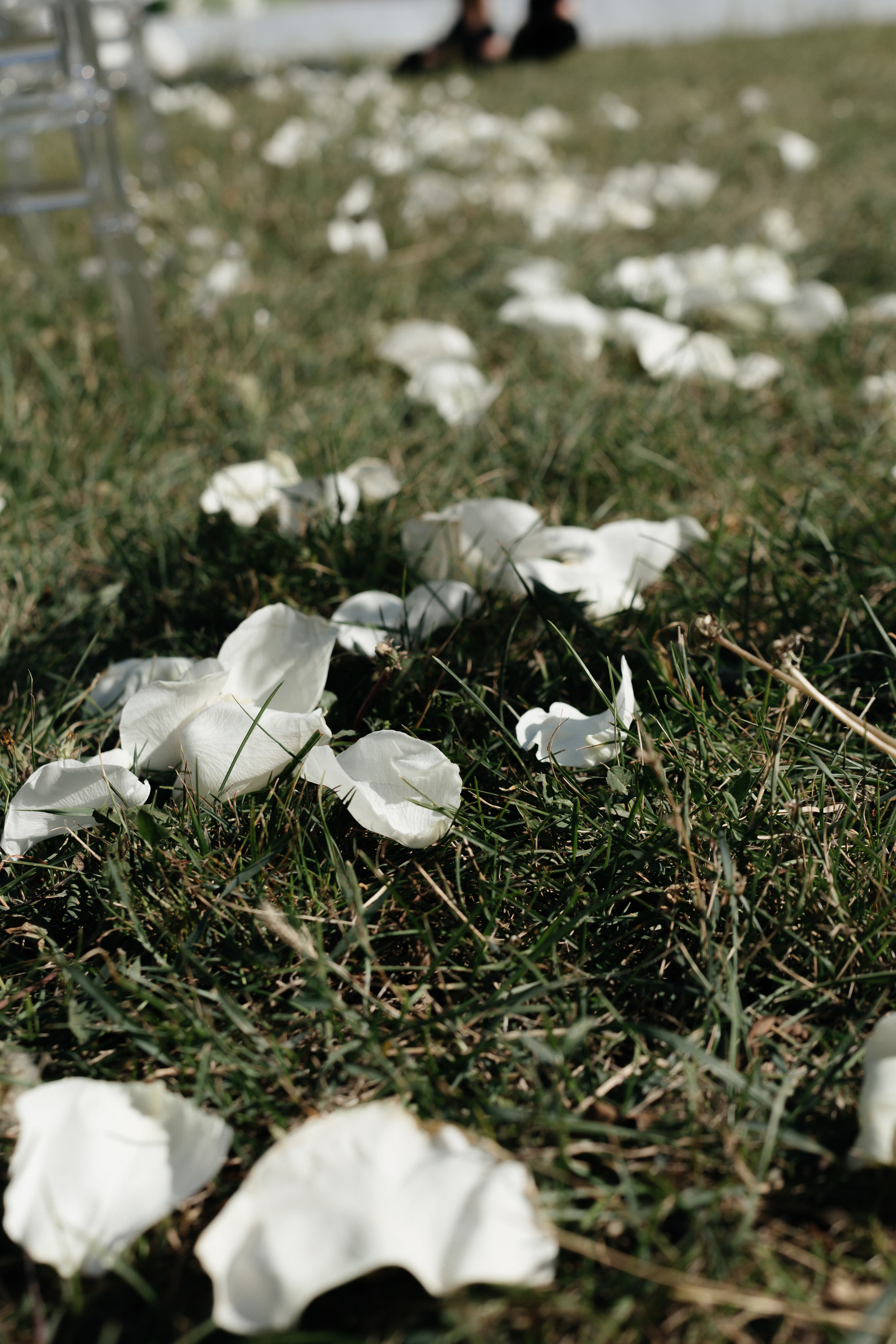 Максим и Настя. Свадебный фотограф в Краснодаре Николай Крауз