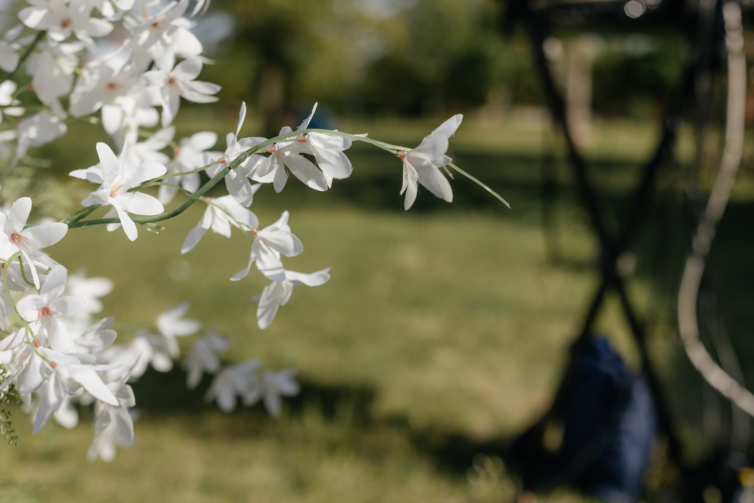 Максим и Настя. Свадебный фотограф в Краснодаре Николай Крауз