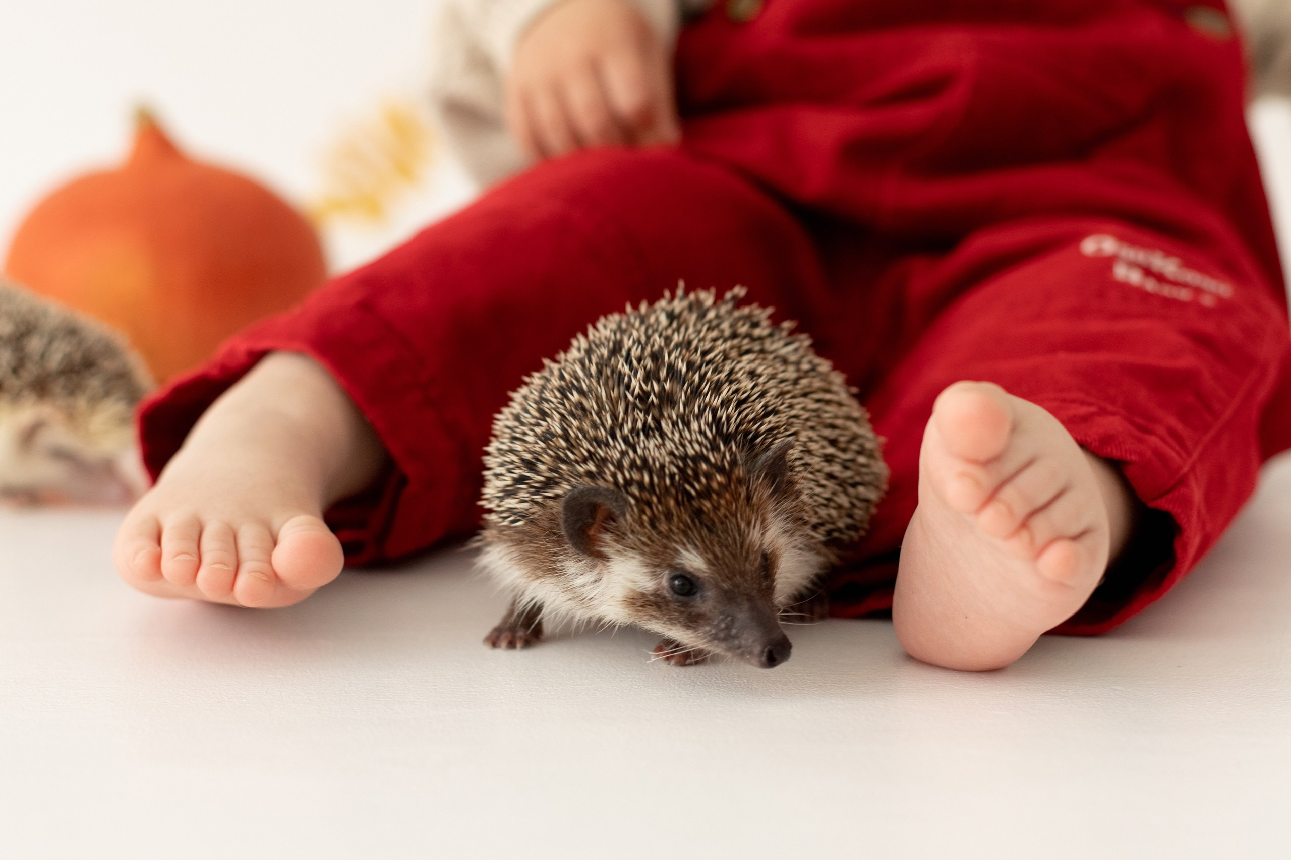 ФОТОДНИ. Мария Махинина — фотограф в Мурманске и Североморске