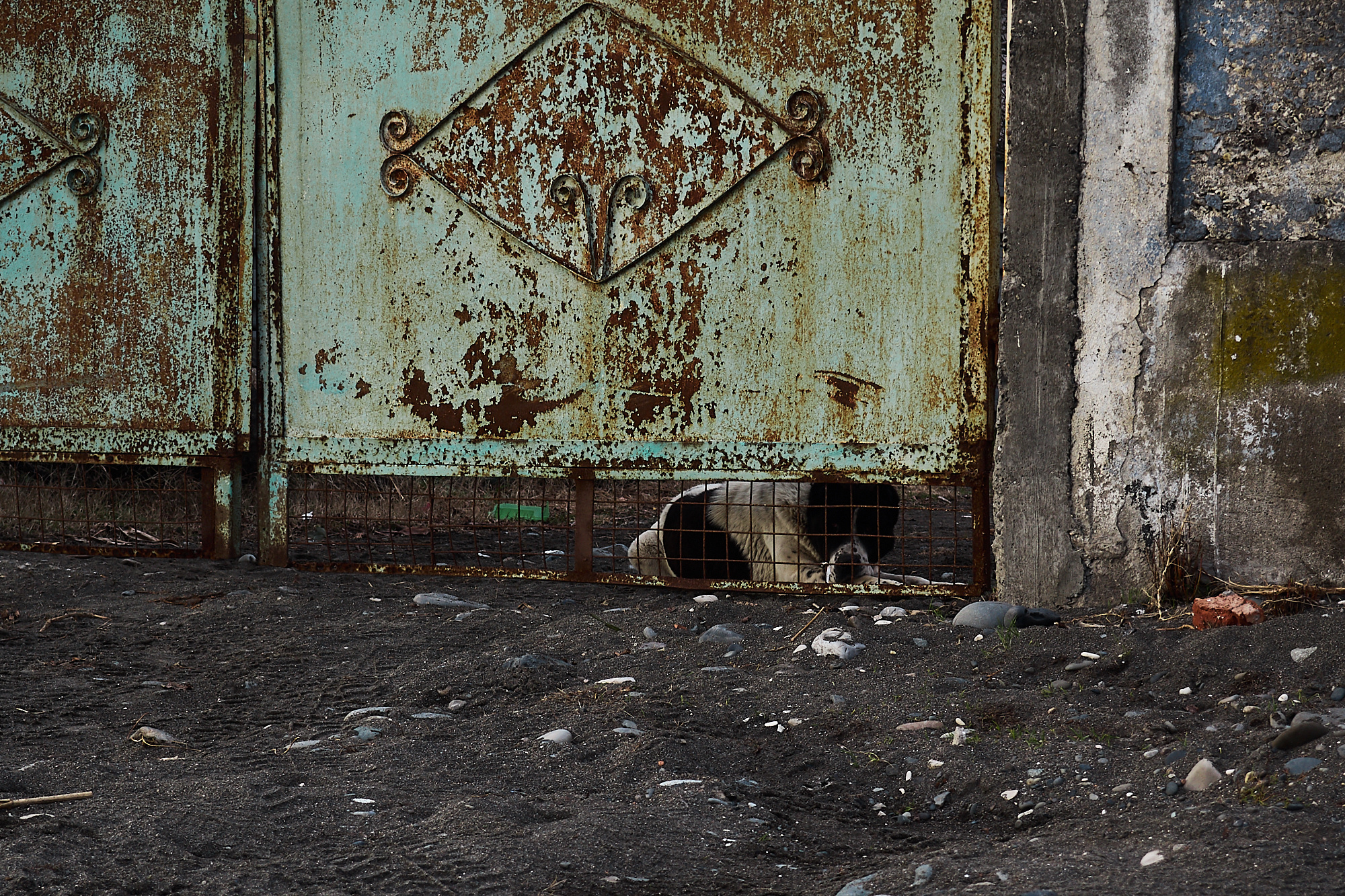 Низкий сезон. Фотограф  Евгений Рыжов