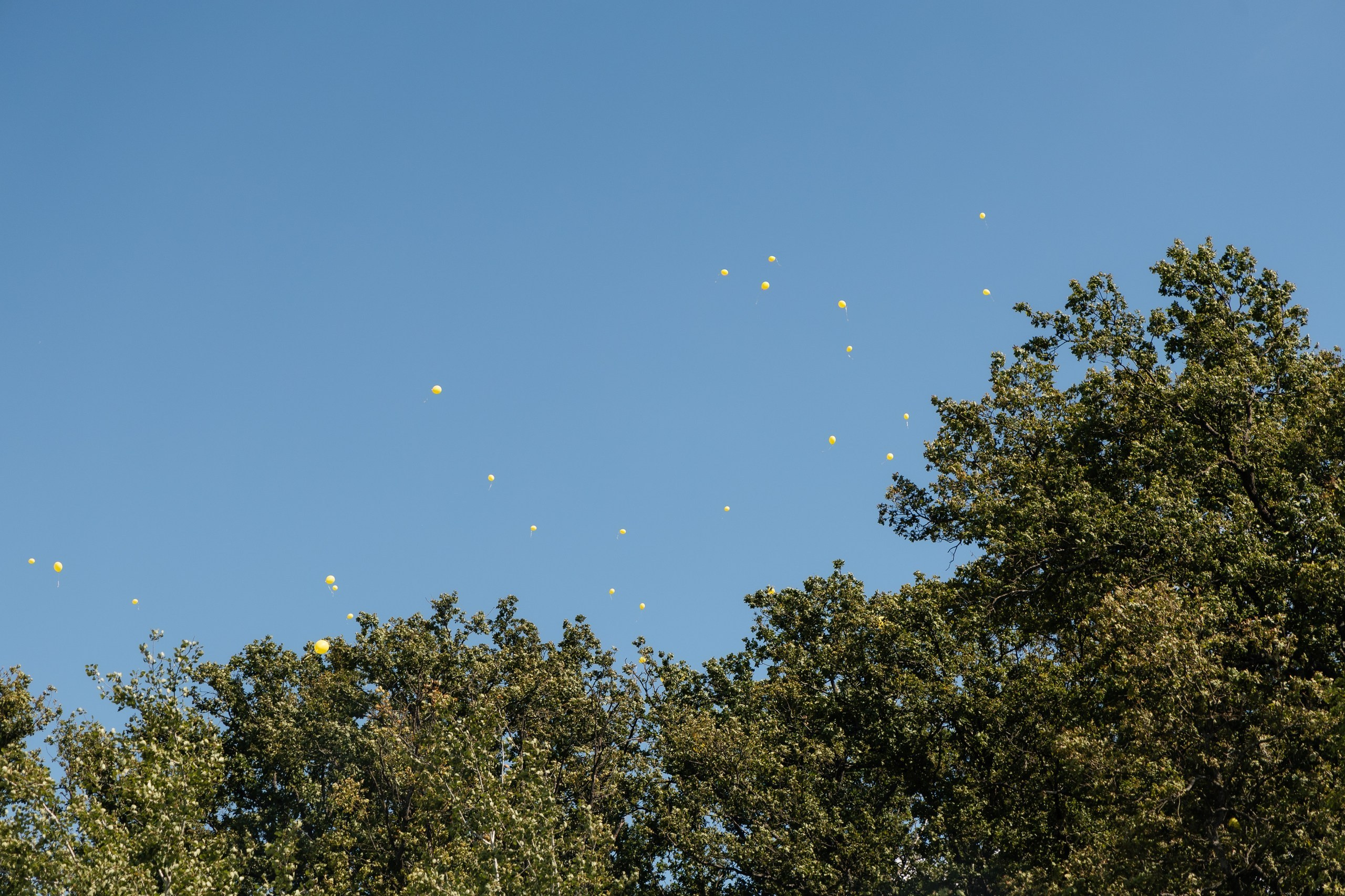 Трейдсан | Корпоратив 12 лет. Свадебный и репортажный фотограф в Воронеже Сергей Максимов